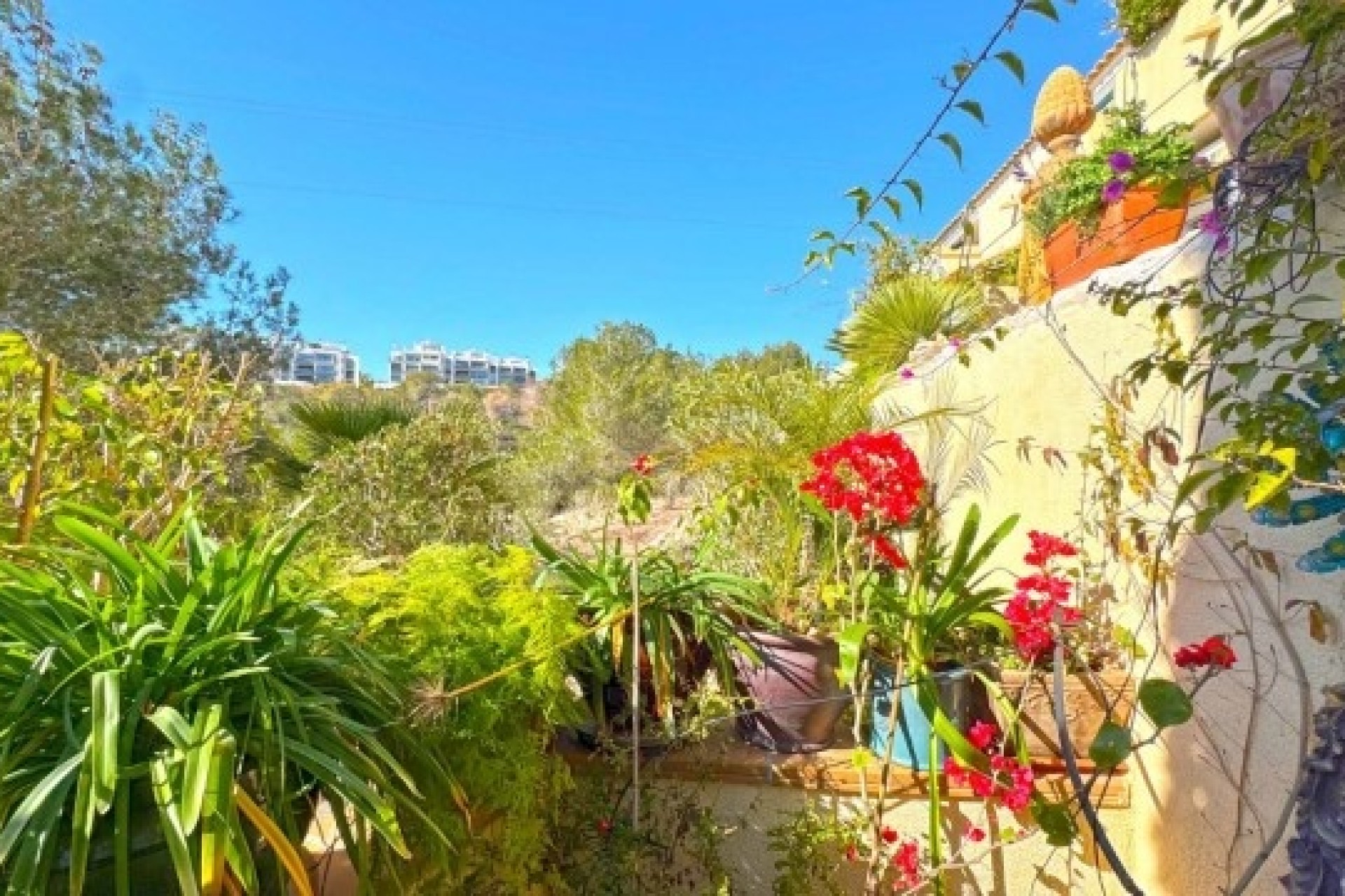 Resale - Semi Detached Villa -
Orihuela Costa - 0