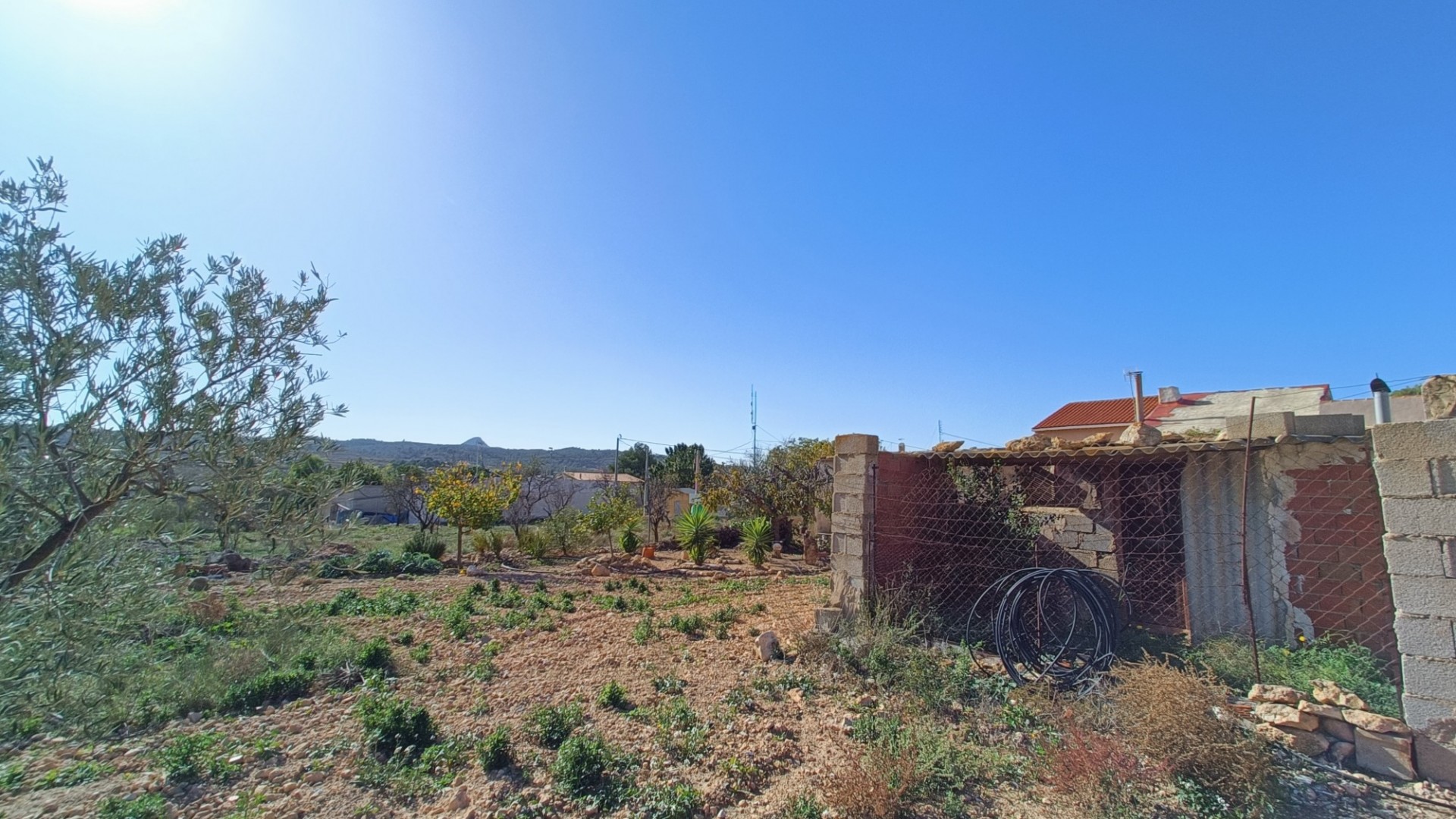 Resale - Stadthaus -
Barbarroja