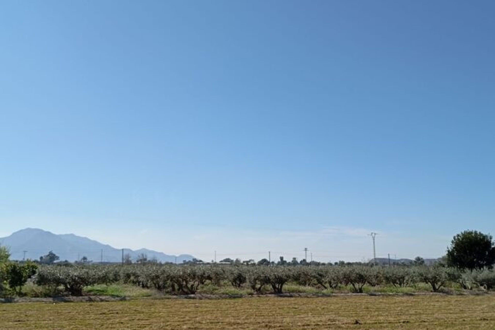 Resale - Stadthaus -
Catral - Costa Blanca