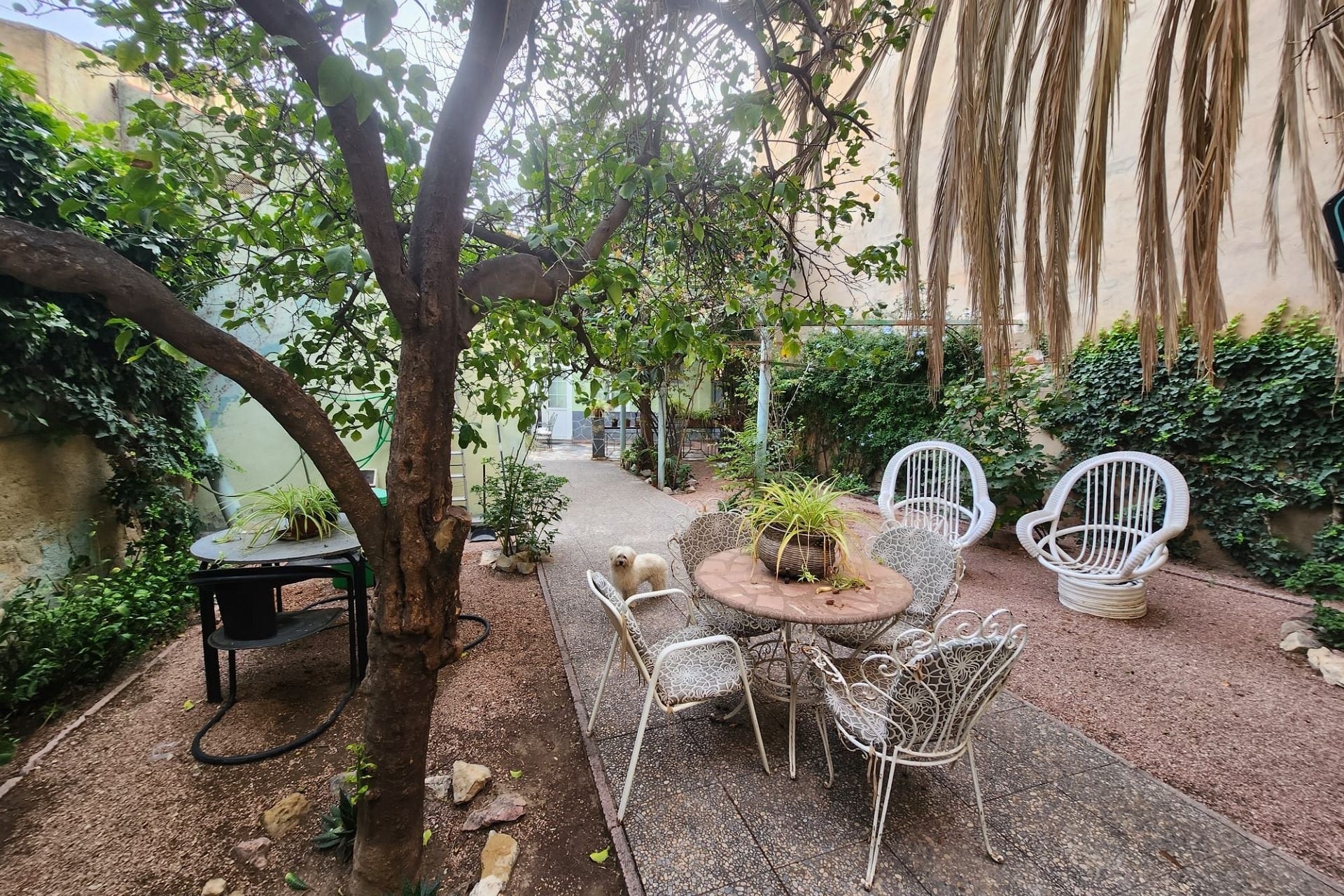 Resale - Stadthaus -
Monóvar