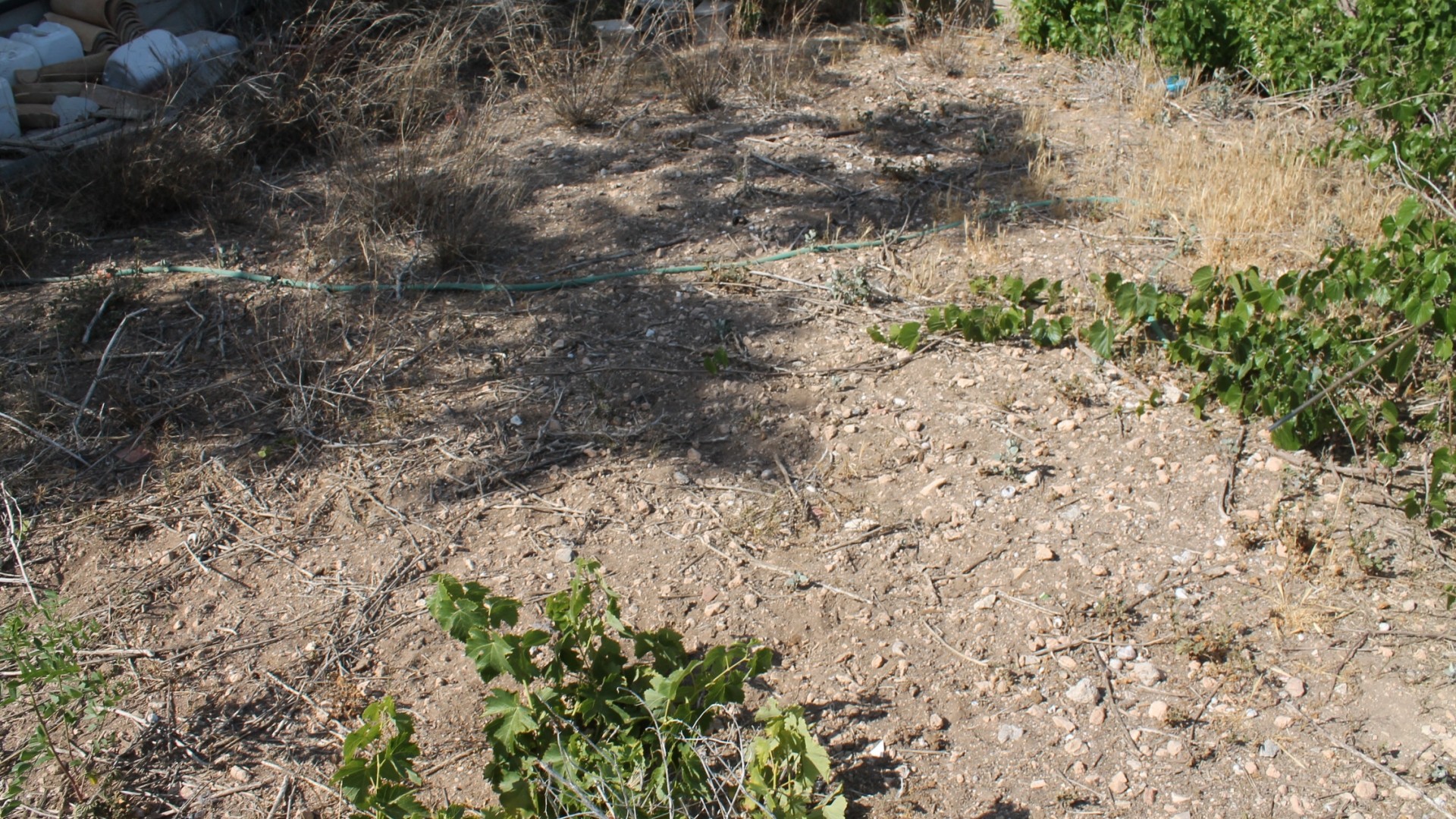 Resale - Stadthaus -
Peña de la Zafra de Arriba - Peña de la Zafra de Arriba Murcia