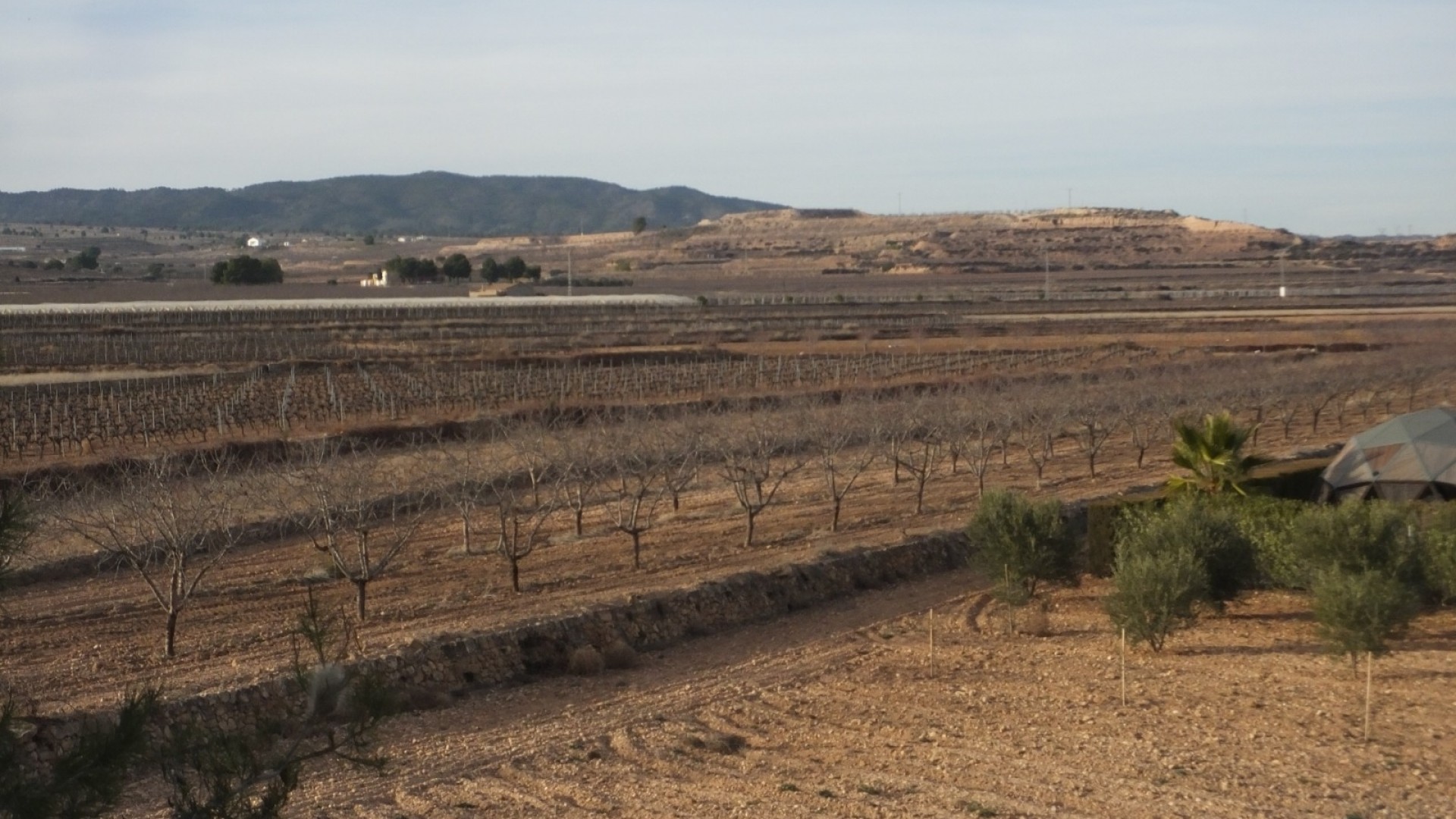 Resale - Stadthaus -
Pinoso - Pinoso Alicante