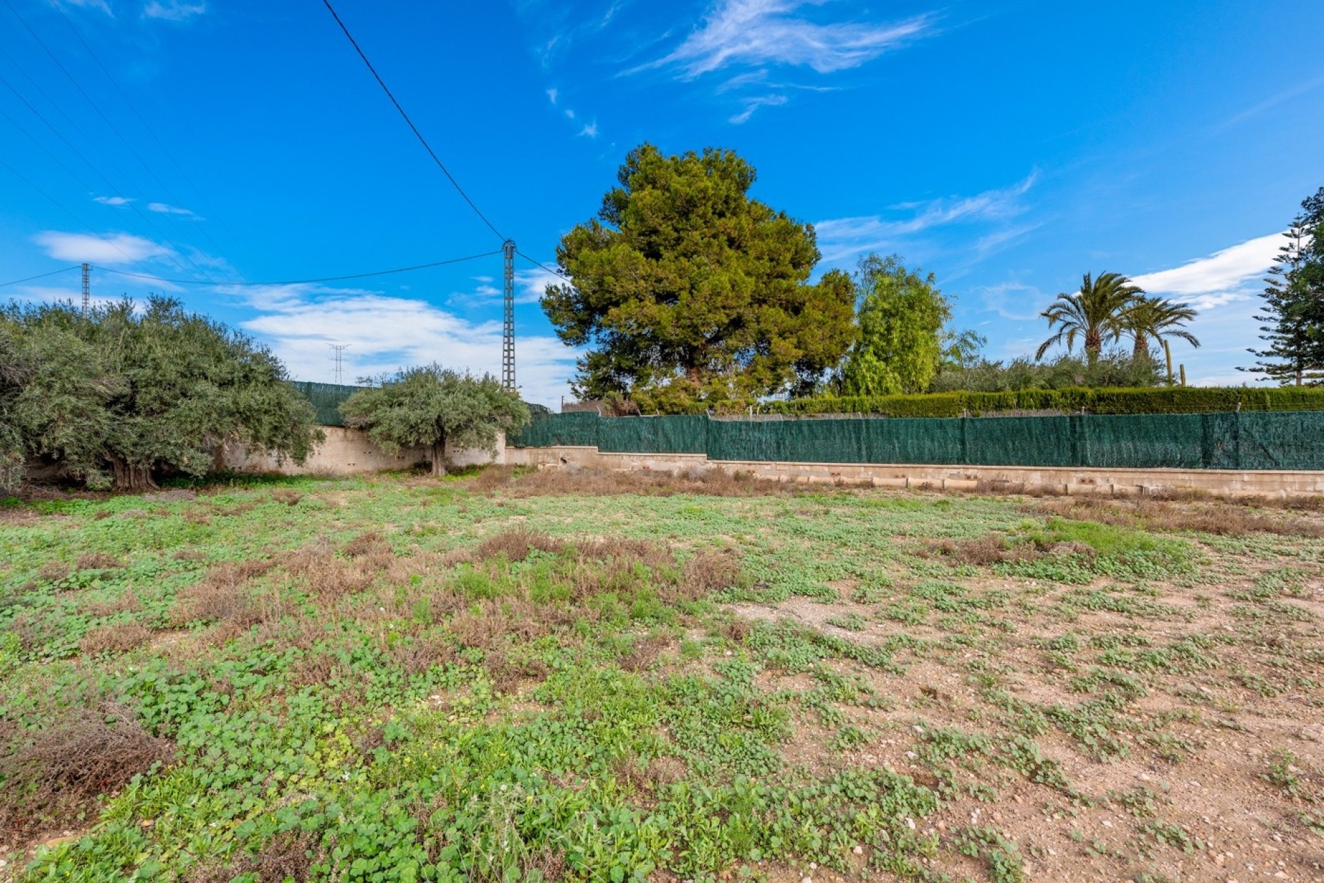 Resale - Villa -
Elche - Elche/Elx