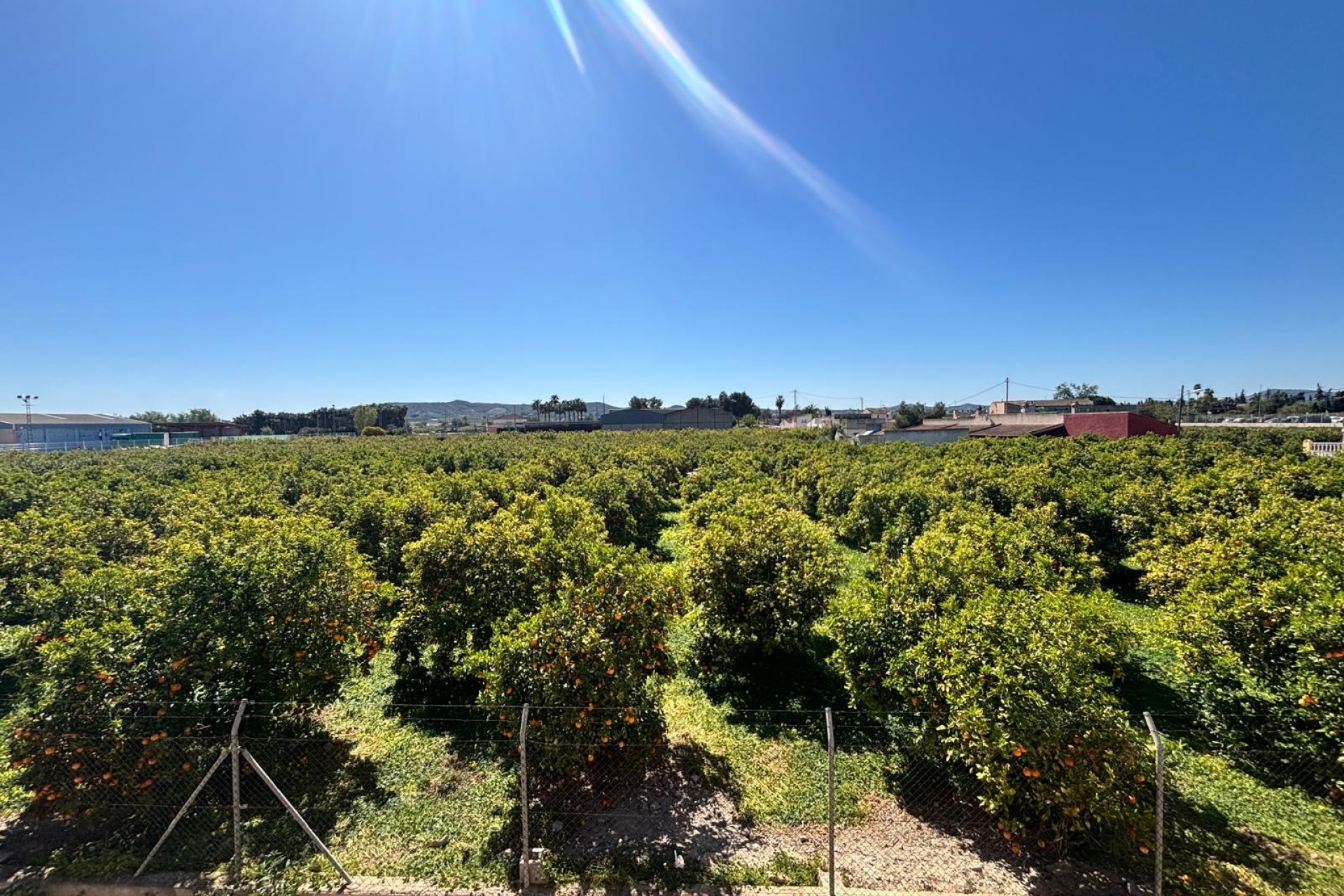 Resale - Wohnung / Apartment -
Benejúzar