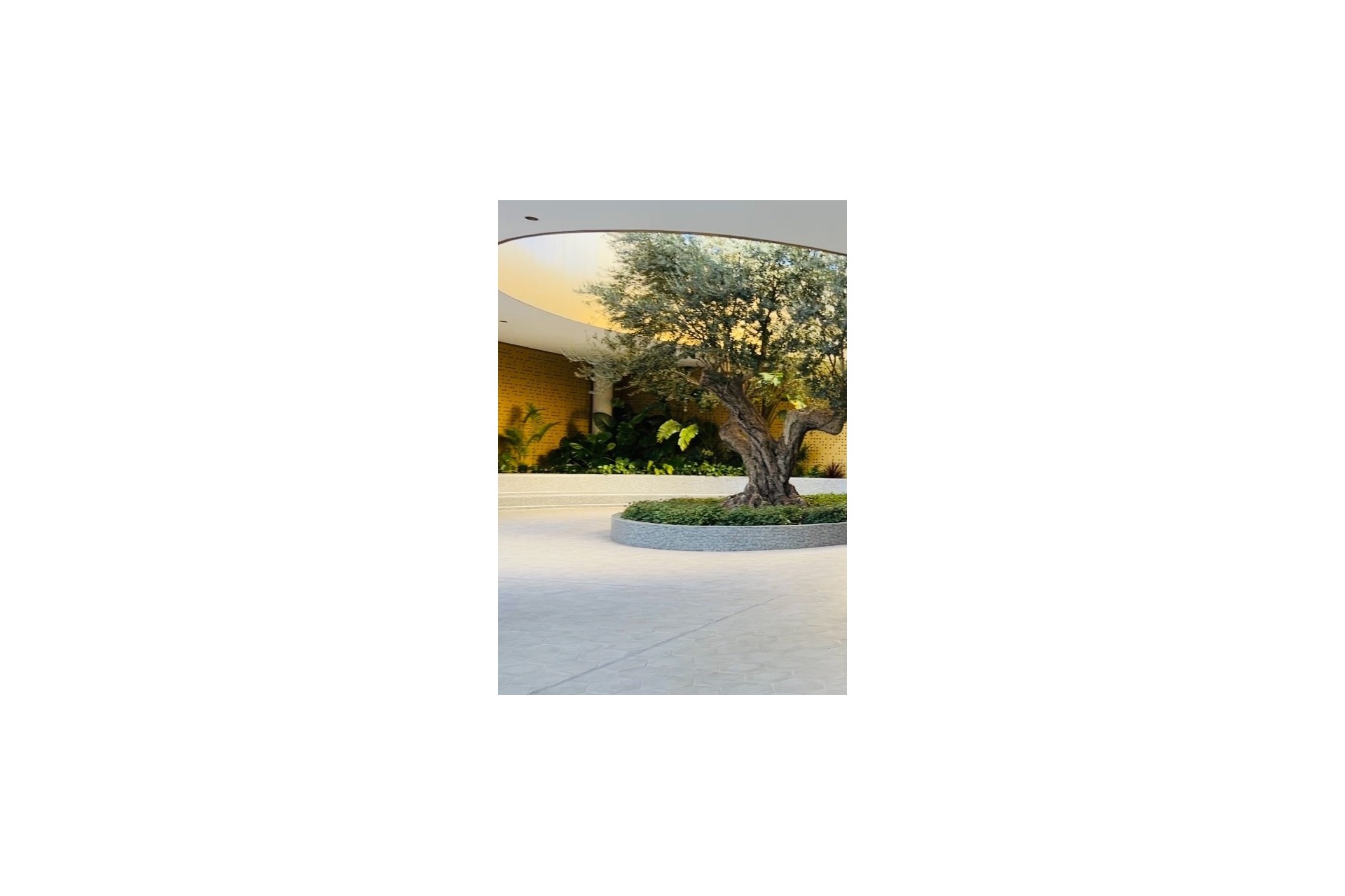 Resale - Wohnung / Apartment -
Benidorm - Poniente