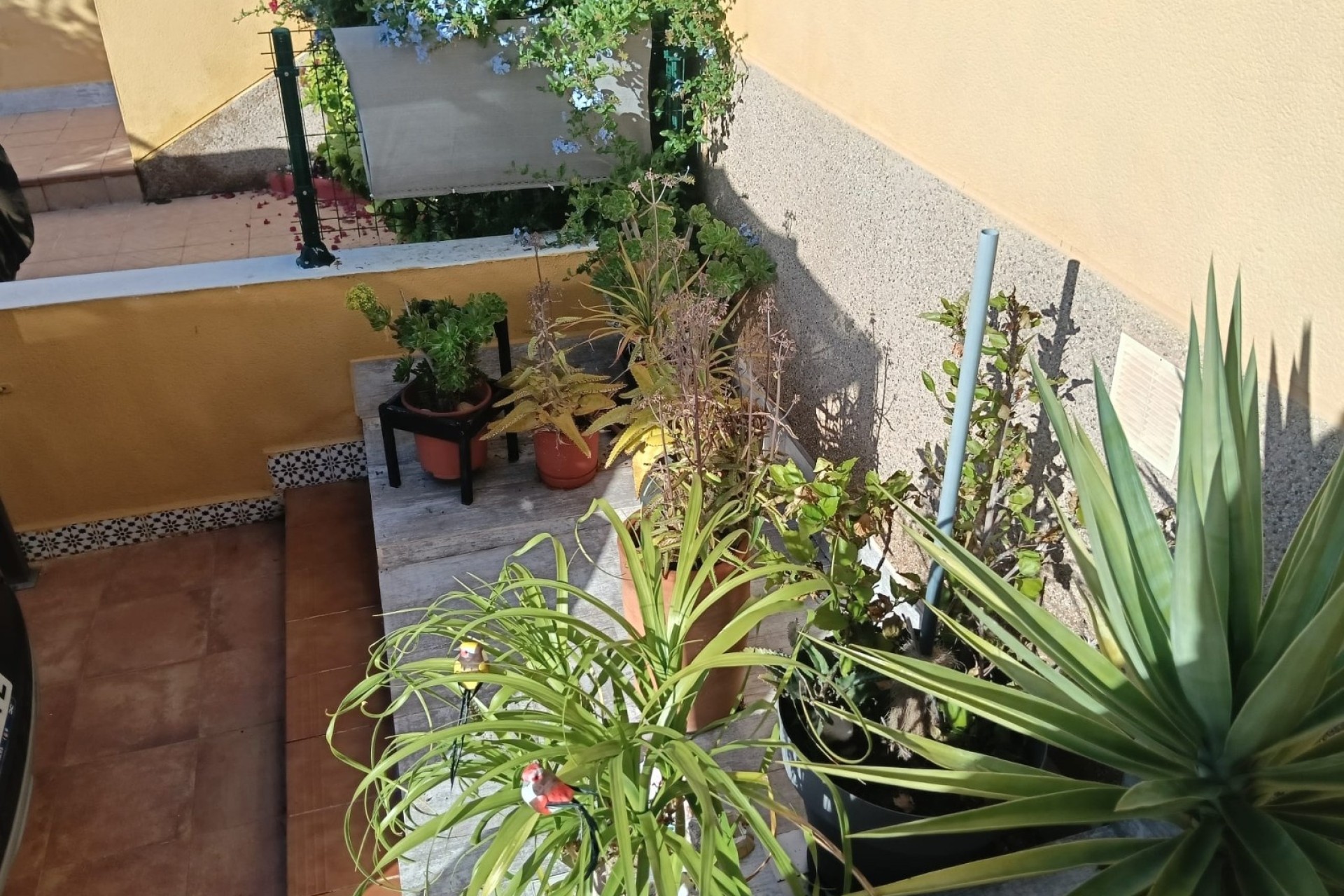 Resale - Wohnung / Apartment -
Los Montesinos - La herrada