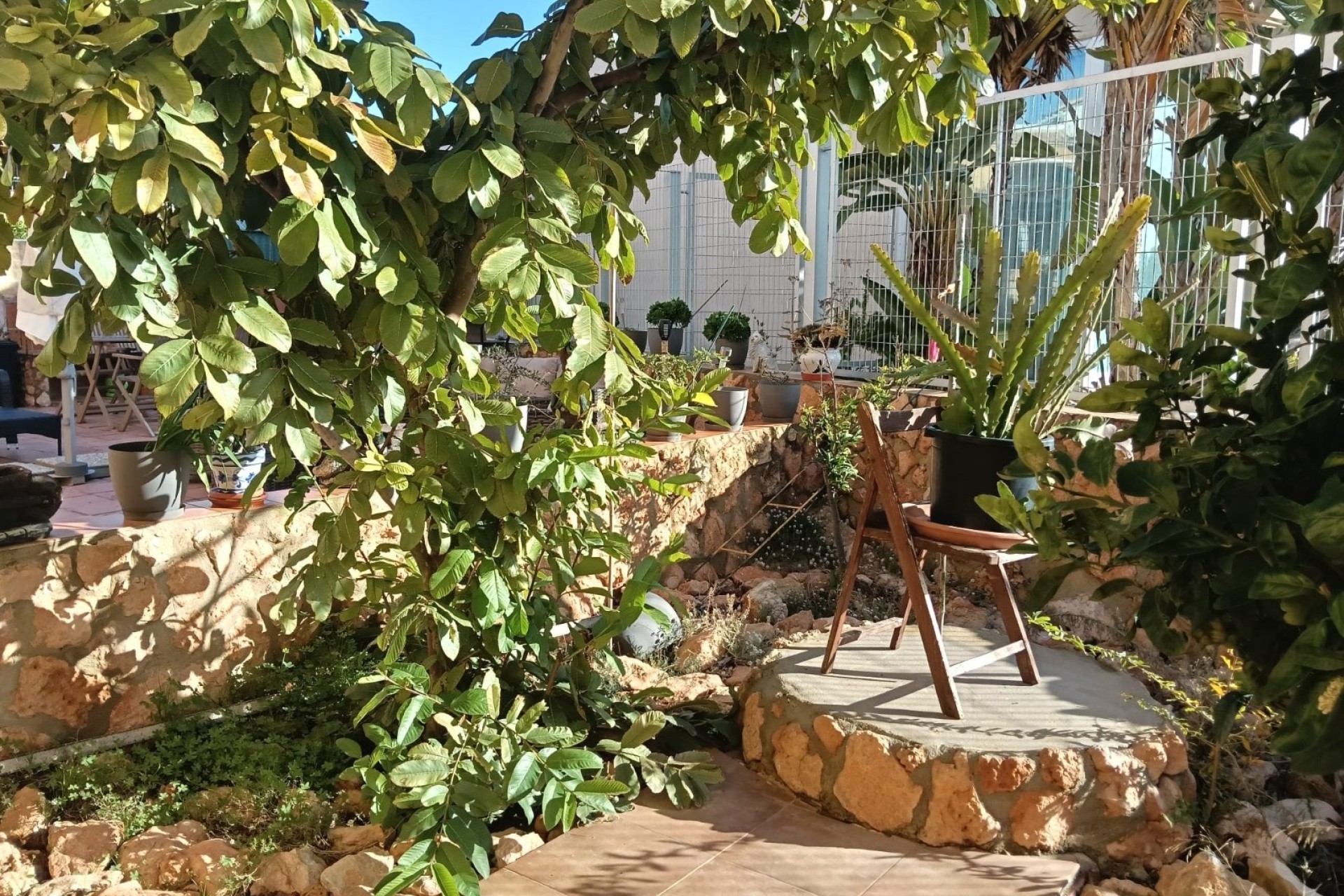 Resale - Wohnung / Apartment -
Los Montesinos - La herrada