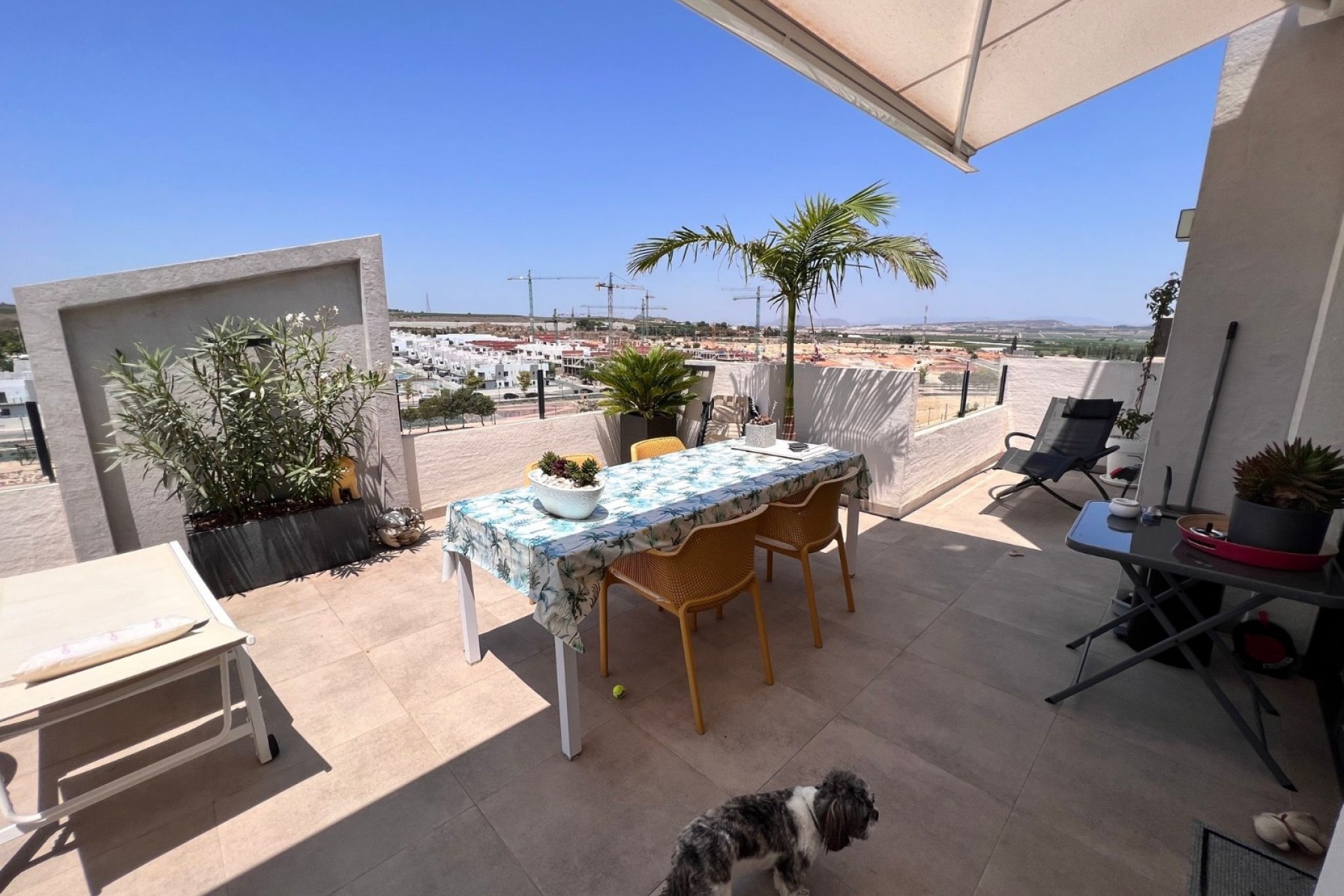 Resale - Wohnung / Apartment -
San Miguel de Salinas - San Miguel Salinas