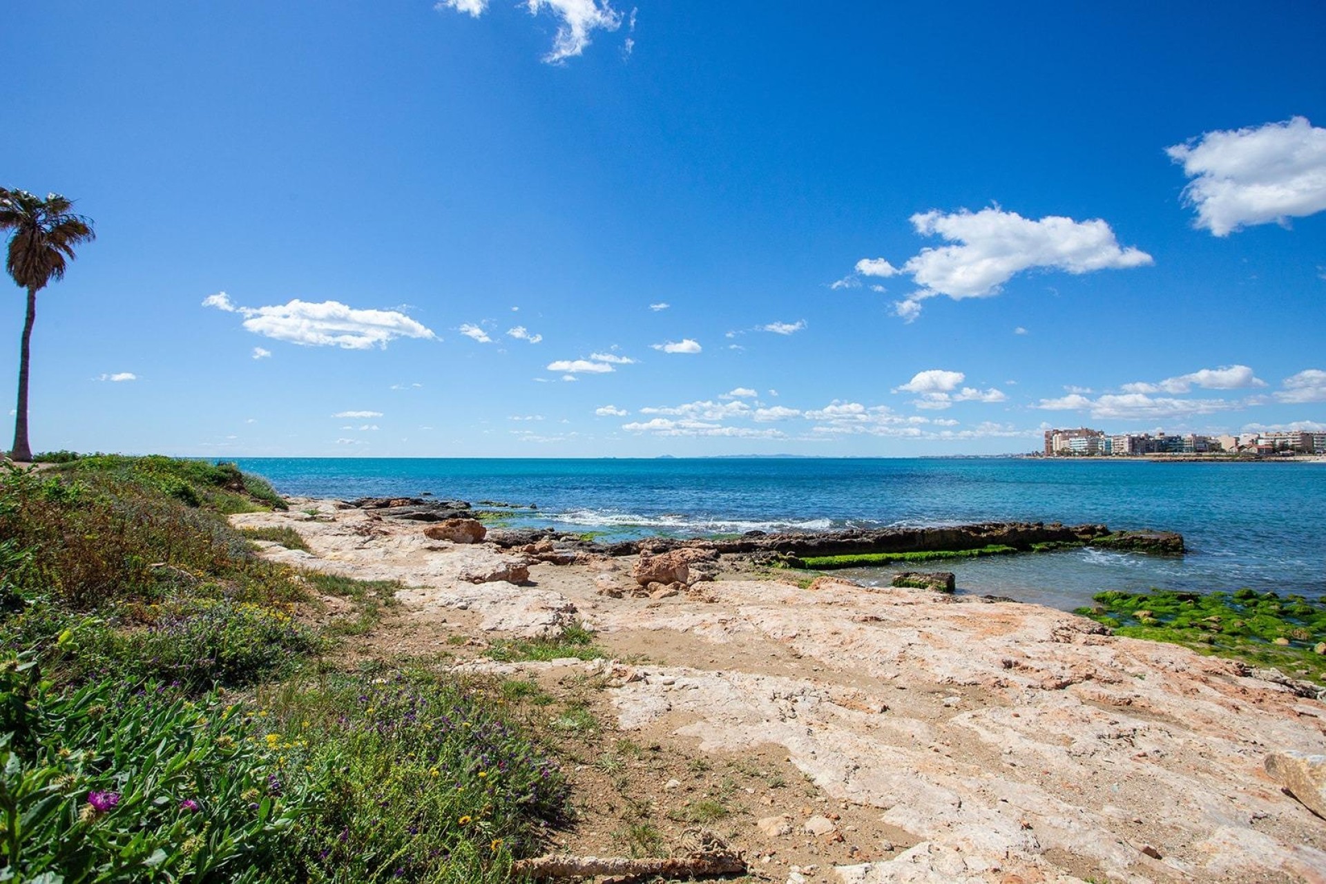 Resale - Wohnung / Apartment -
Torrevieja - Centro