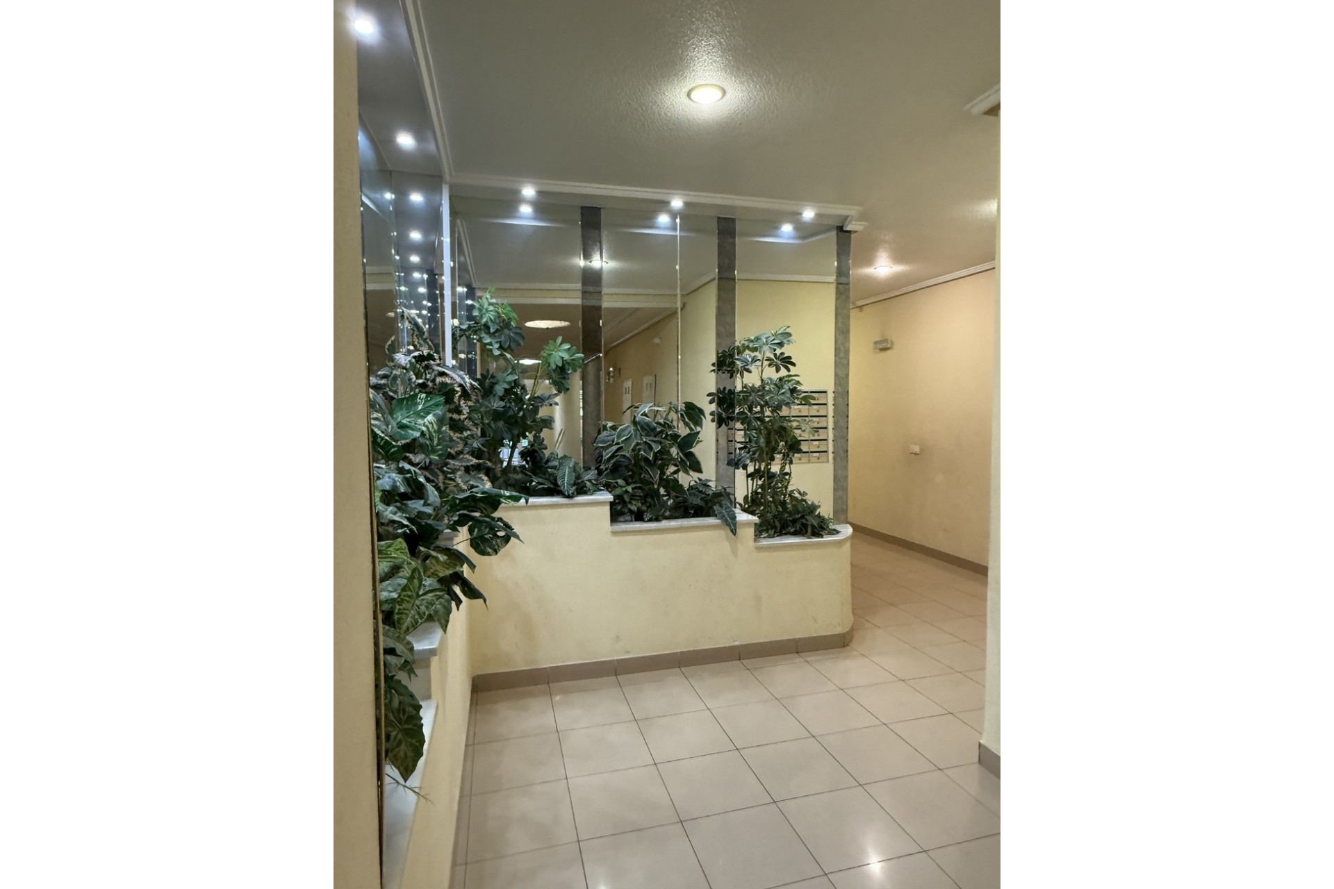 Resale - Wohnung / Apartment -
Torrevieja - Costa Blanca
