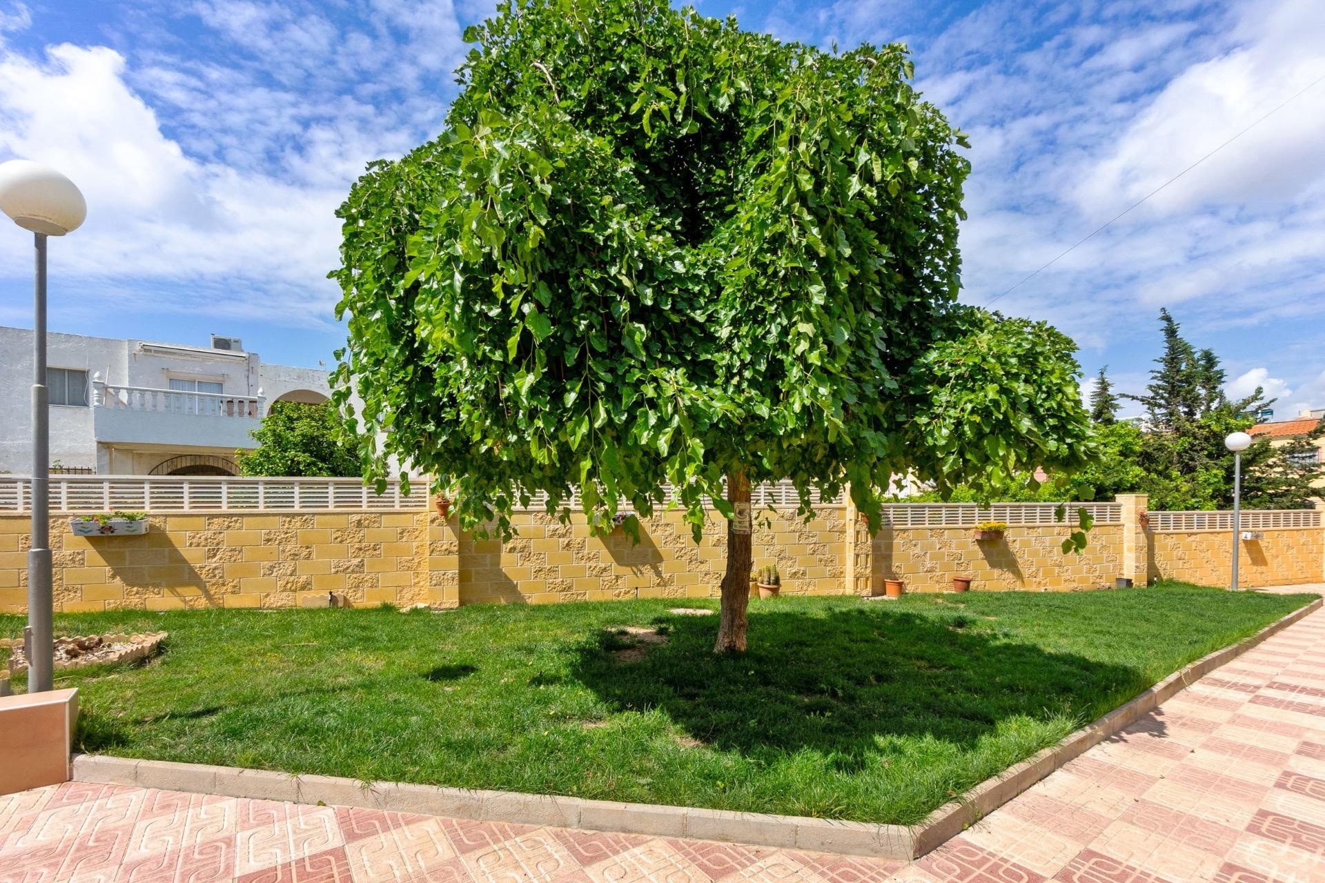 Resale - Wohnung / Apartment -
Torrevieja - El chaparral