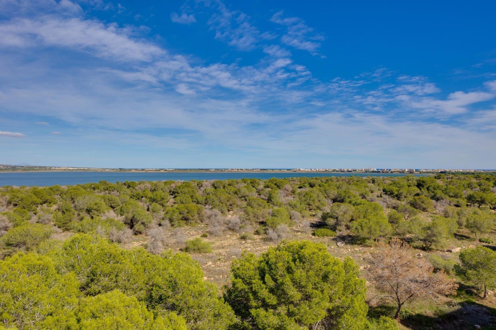 Resale - Wohnung / Apartment -
Torrevieja - La Siesta - El Salado - Torreta