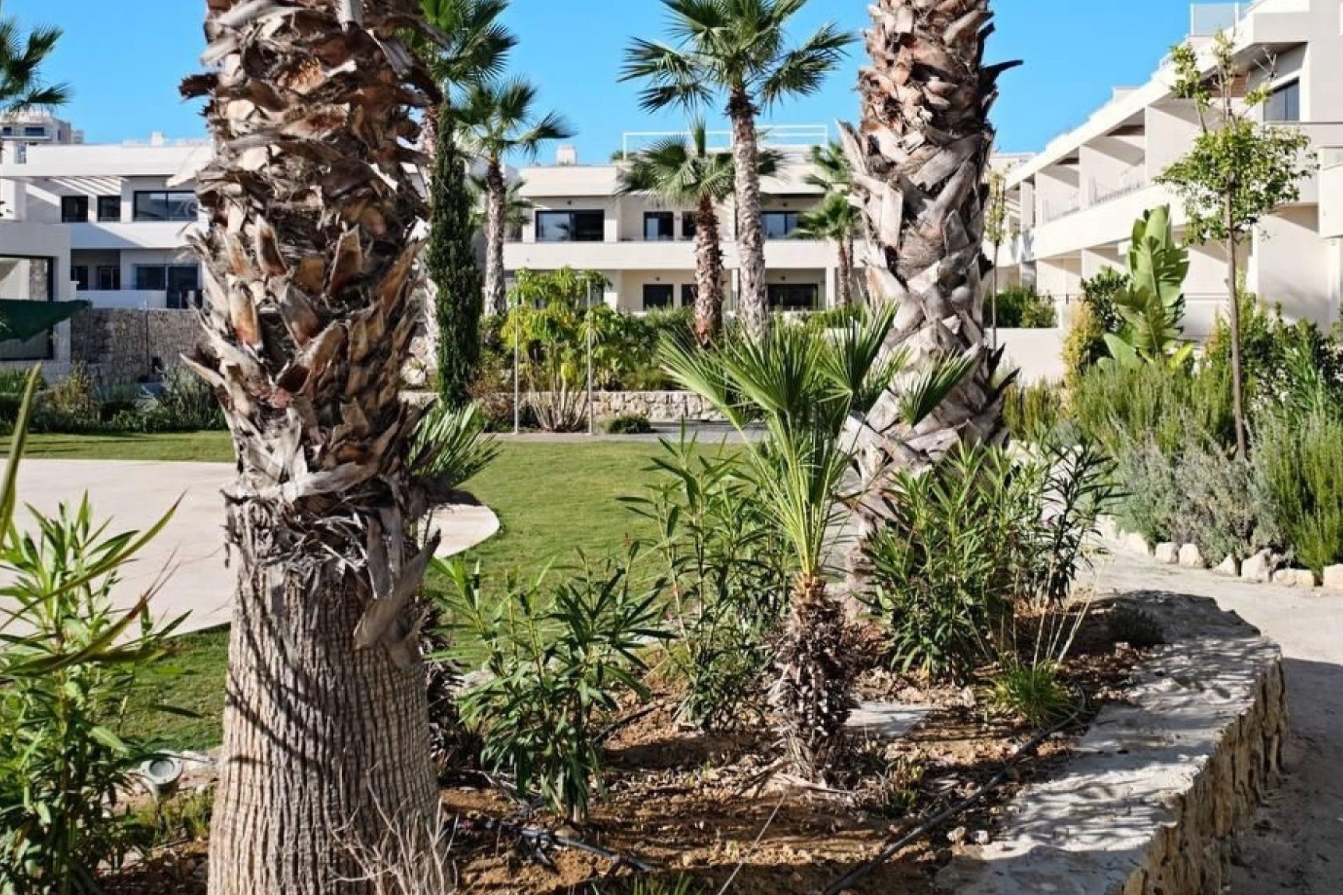 Resale - Wohnung / Apartment -
Torrevieja - La veleta