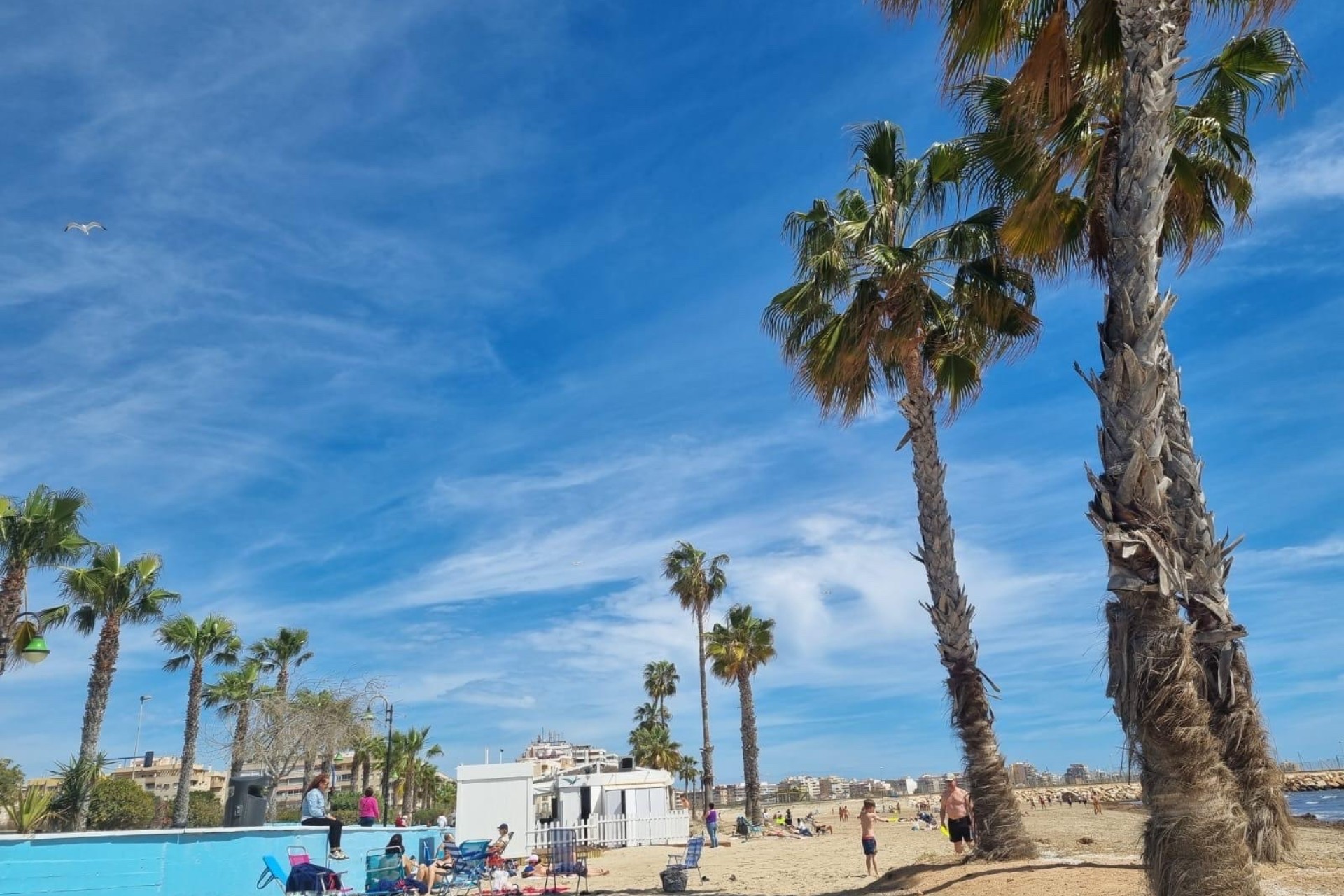 Resale - Wohnung / Apartment -
Torrevieja - Playa de los Naufragos