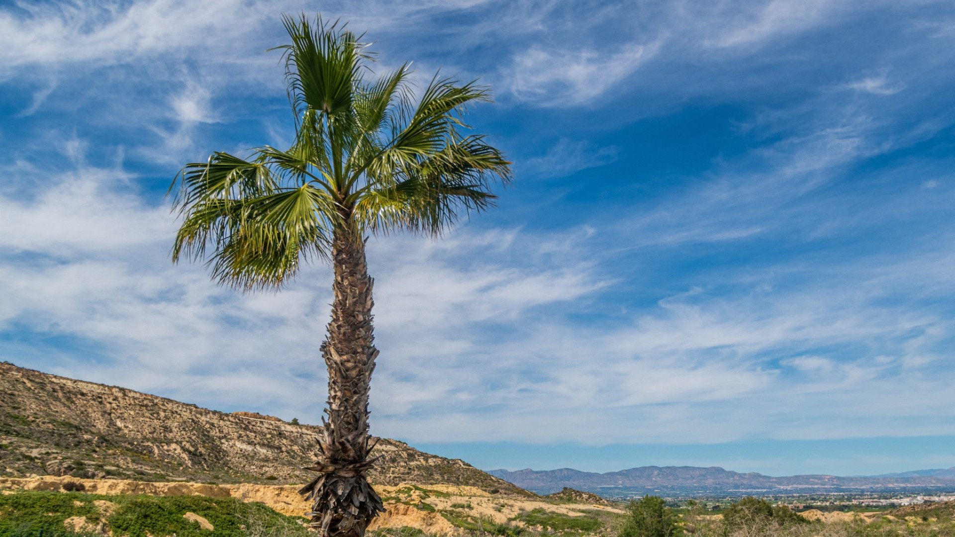 Resale - Wohnung Appartement -
Algorfa - LA FINCA GOLF / ALGORFA