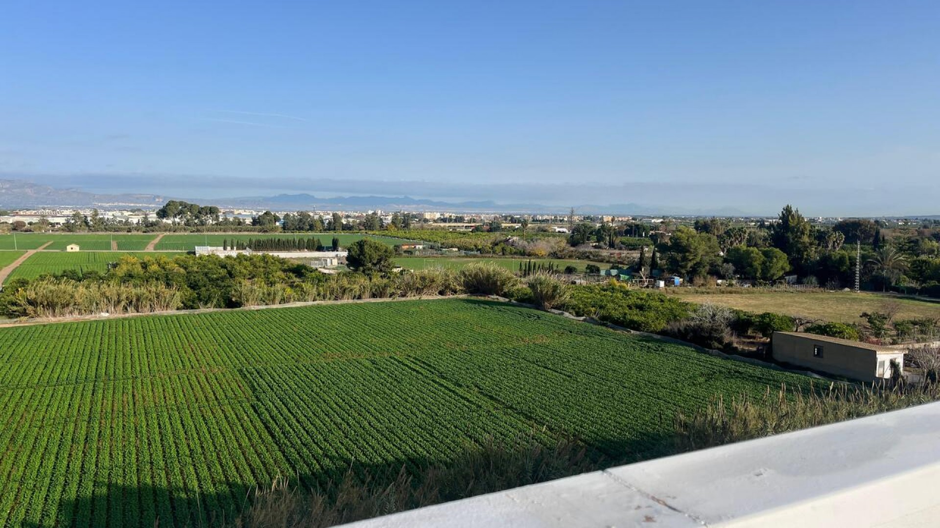 Resale - Wohnung Appartement -
Algorfa