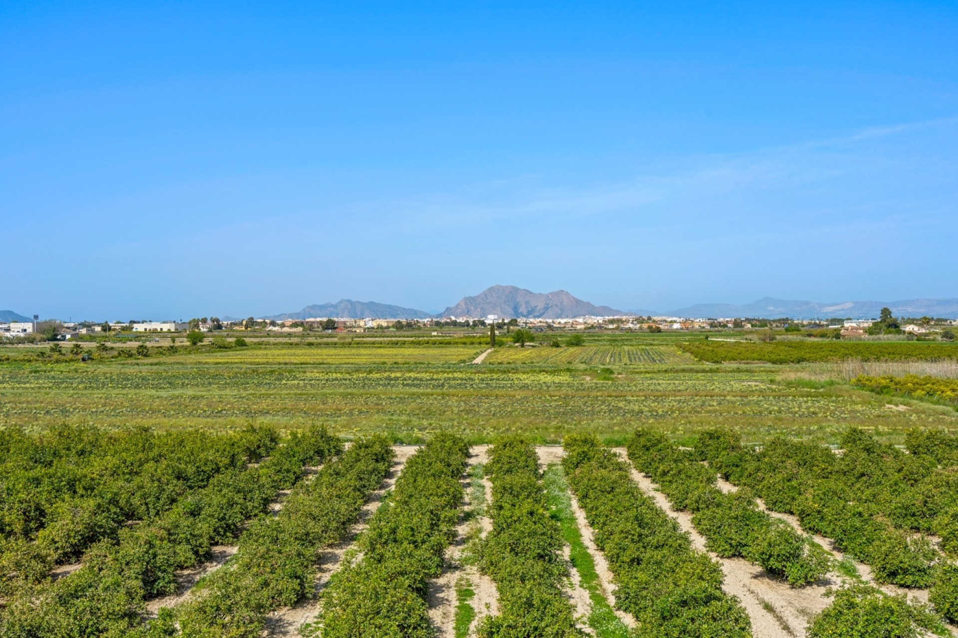 Resale - Wohnung / Appartement -
Daya Nueva - Costa Blanca South