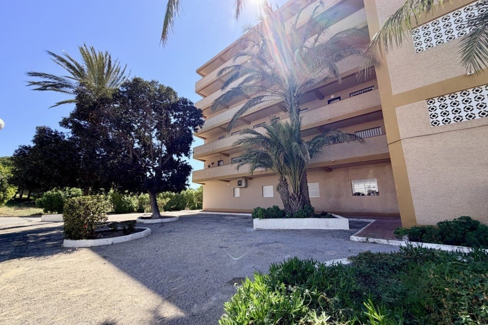 Resale - Wohnung / Appartement -
Guardamar del Segura - Costa Blanca