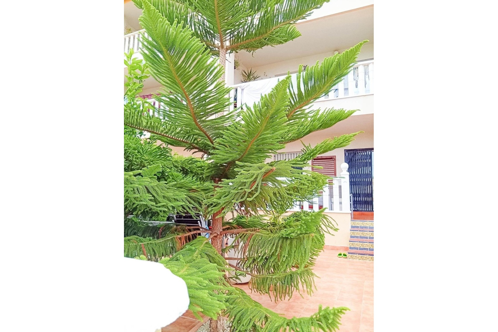 Resale - Wohnung / Appartement -
Orihuela Costa - Lomas De Cabo Roig-los Dolses