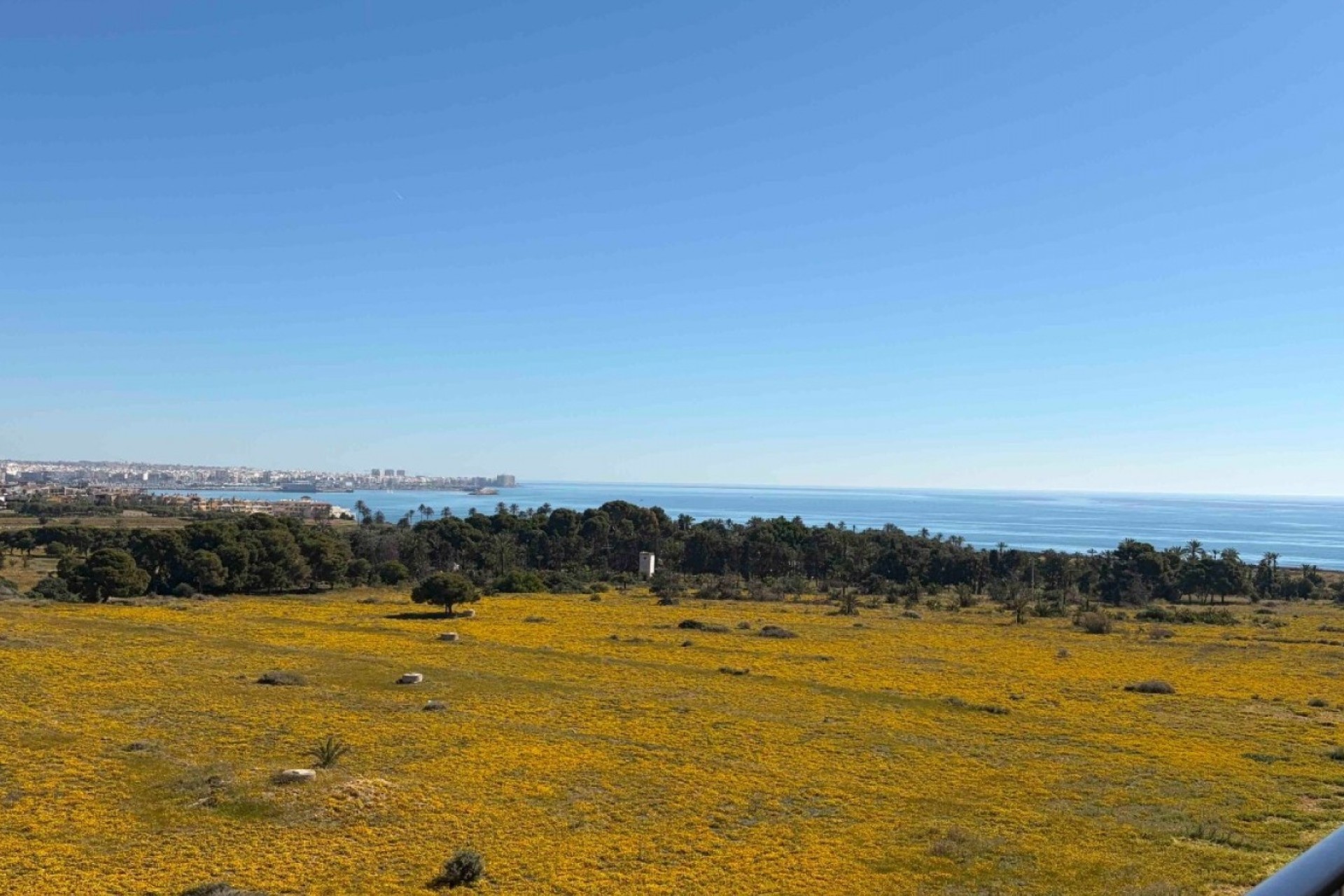 Resale - Wohnung / Appartement -
Orihuela Costa - Punta Prima