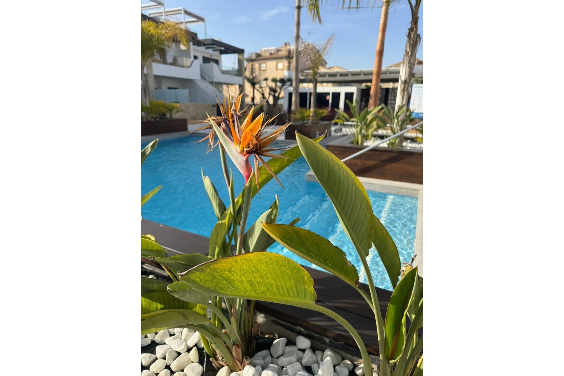 Resale - Wohnung / Appartement -
Orihuela Costa - Rocio del Mar
