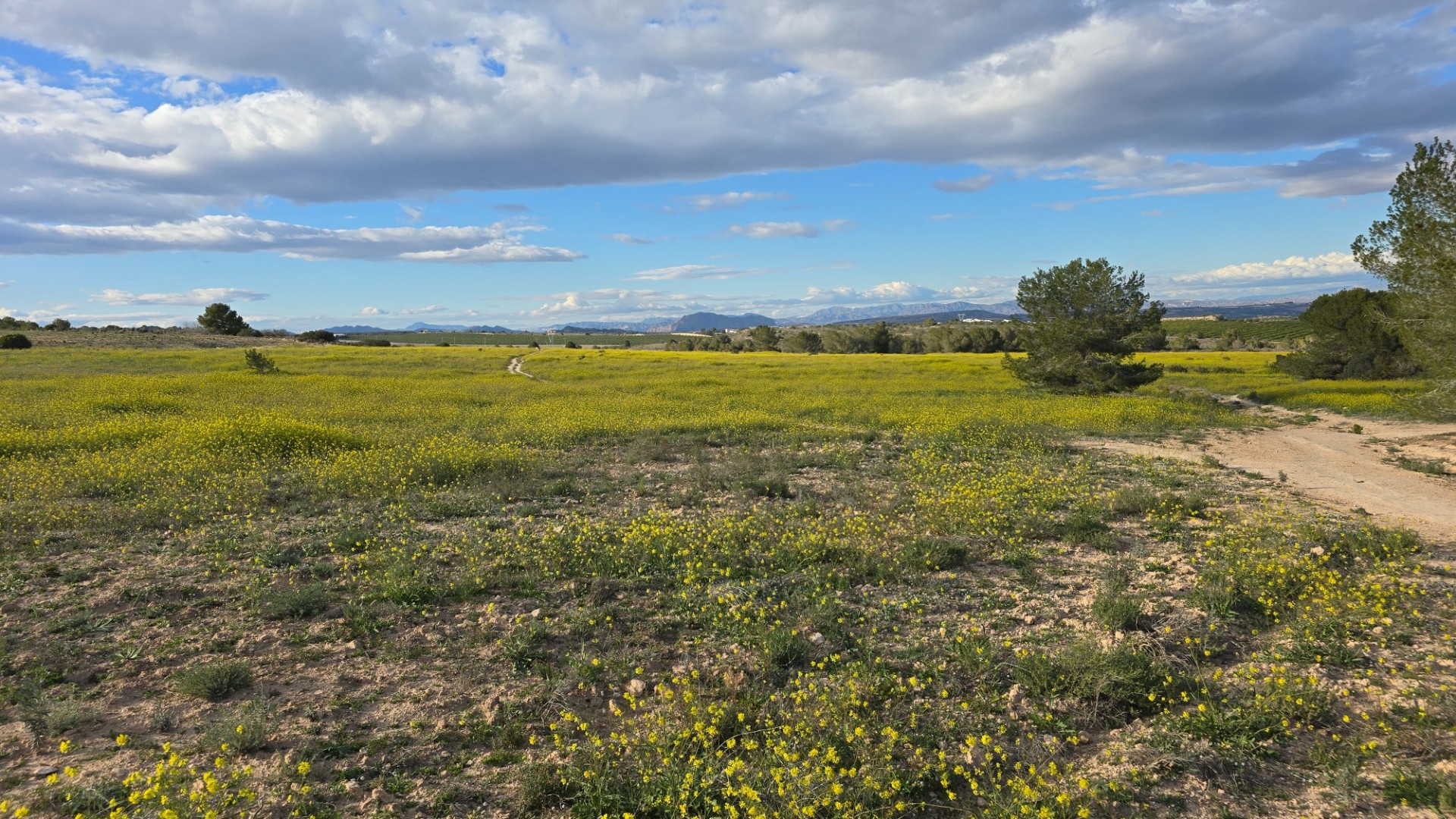 Resale - Wohnung Appartement -
Orihuela Costa - Villamartin