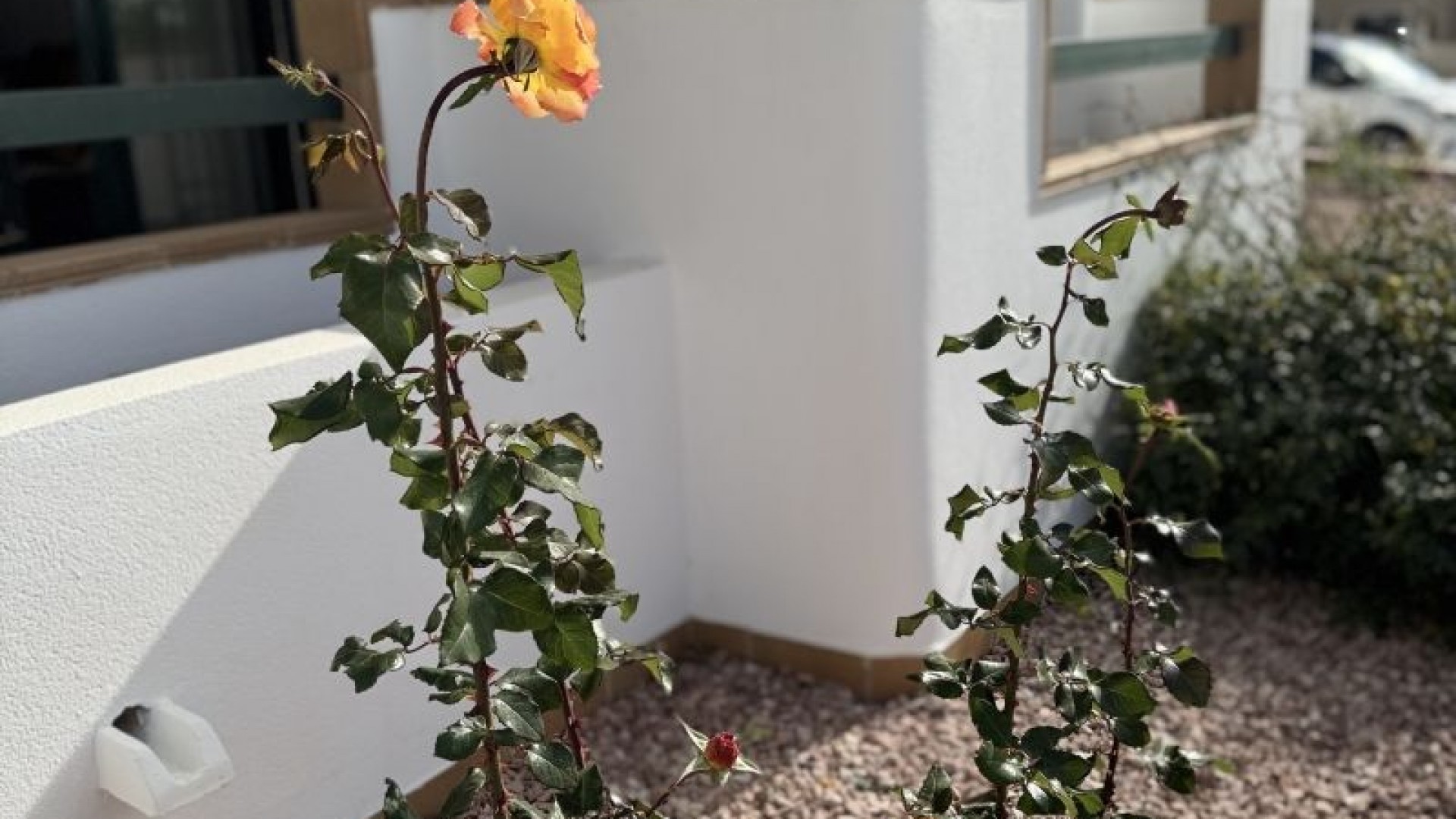 Resale - Wohnung Appartement -
Orihuela Costa