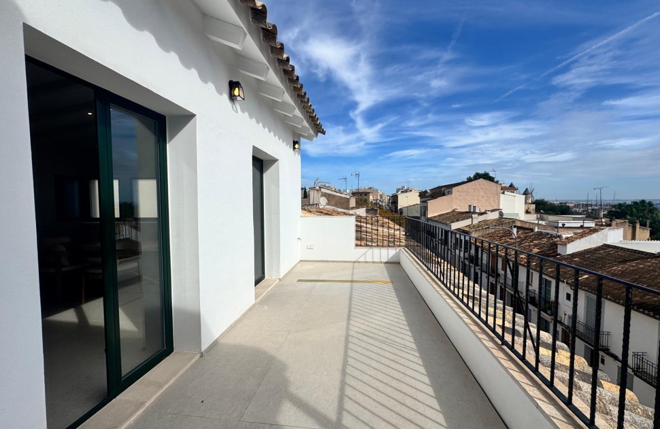 Resale - Wohnung Appartement -
Palma
