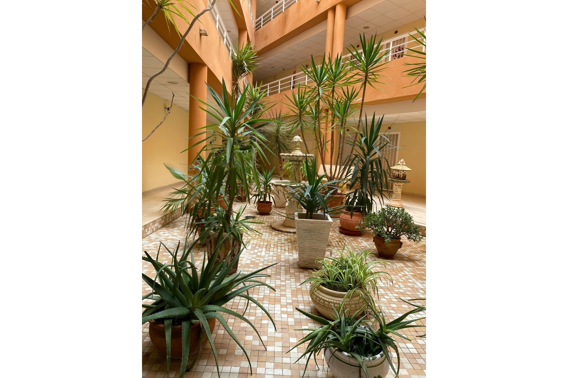 Resale - Wohnung / Appartement -
San Miguel de Salinas - Pueblo 9