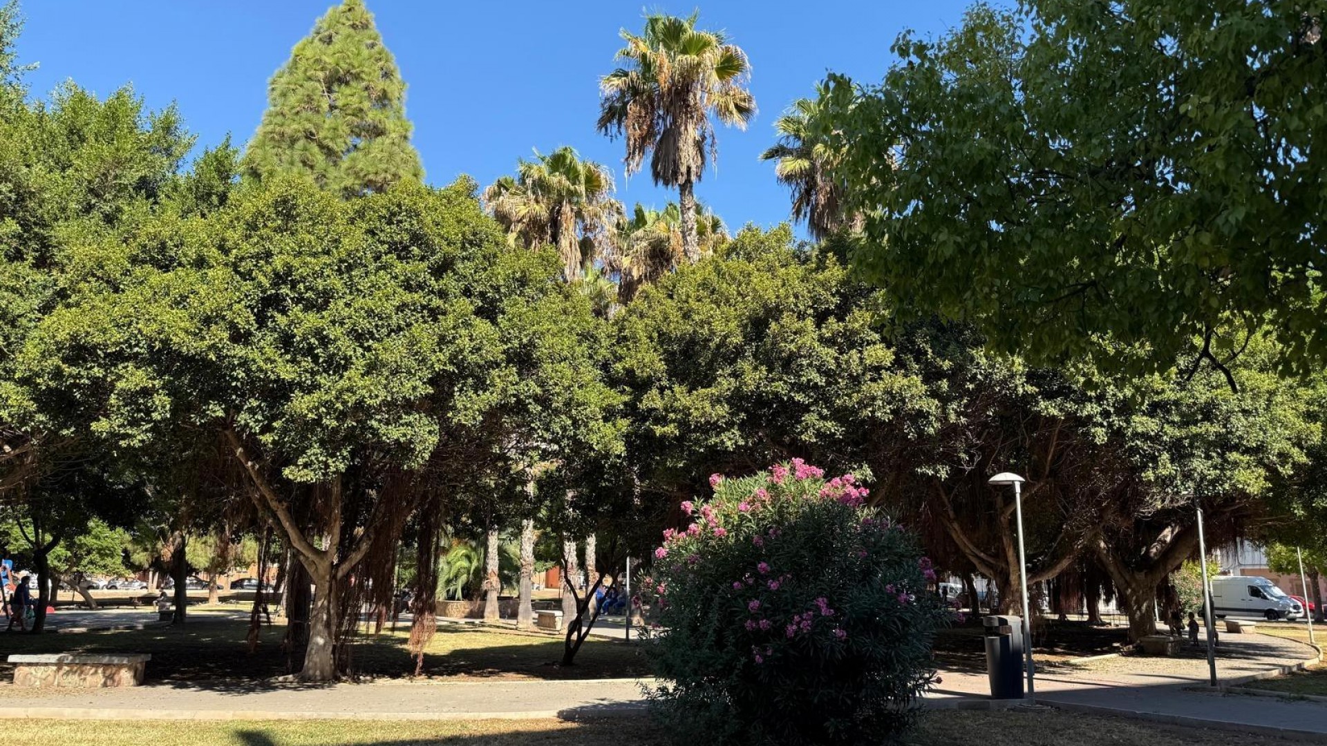 Resale - Wohnung Appartement -
Torrevieja - Acequion