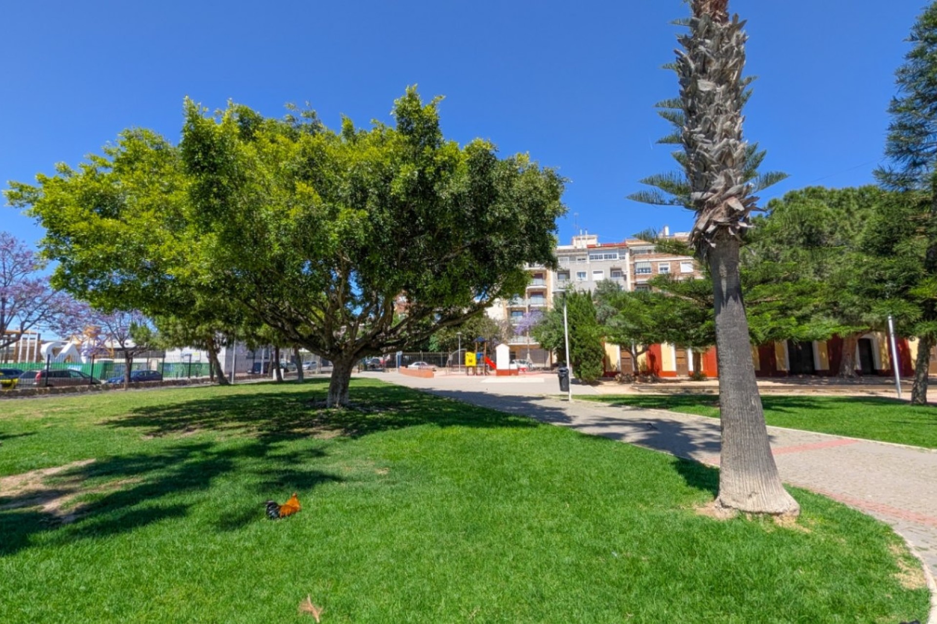 Resale - Wohnung / Appartement -
Torrevieja - Acequion