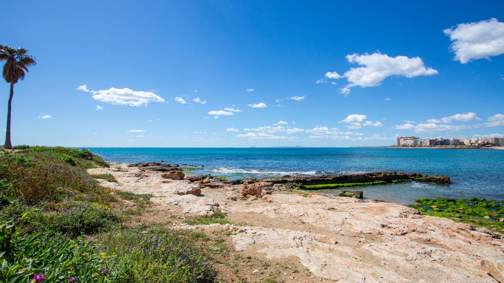 Resale - Wohnung Appartement -
Torrevieja - Centro - Muelle Pesquero