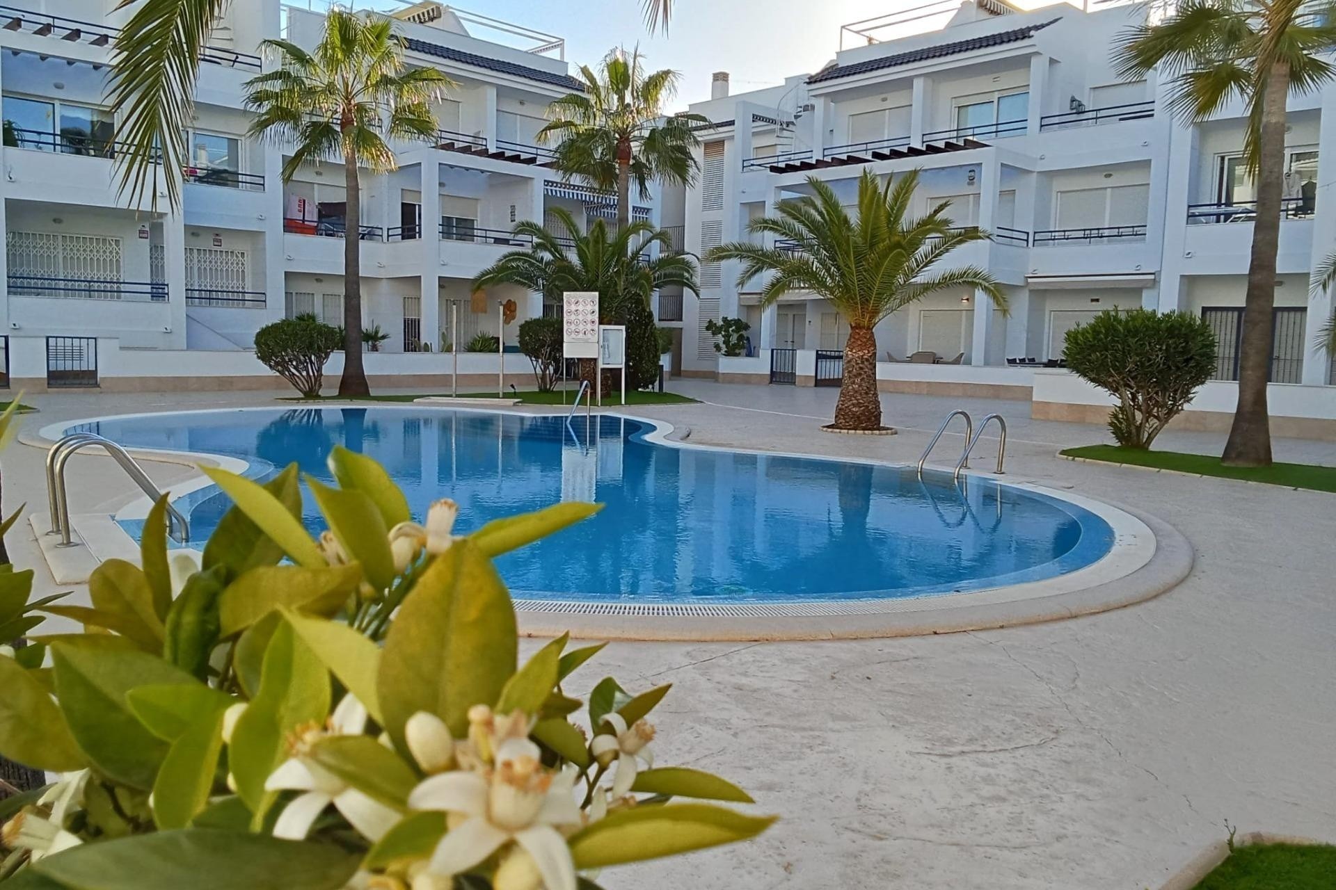 Resale - Wohnung / Appartement -
Torrevieja - La veleta