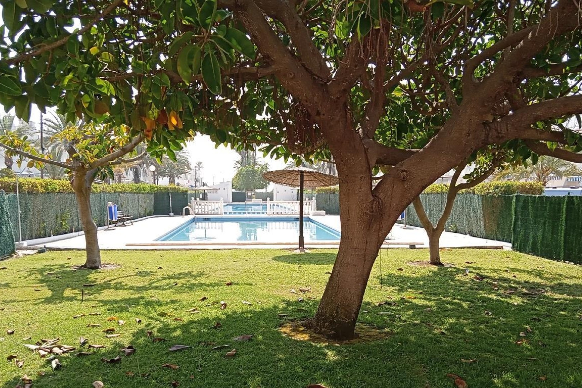 Resale - Wohnung / Appartement -
Torrevieja - MAR AZUL LA VELETA