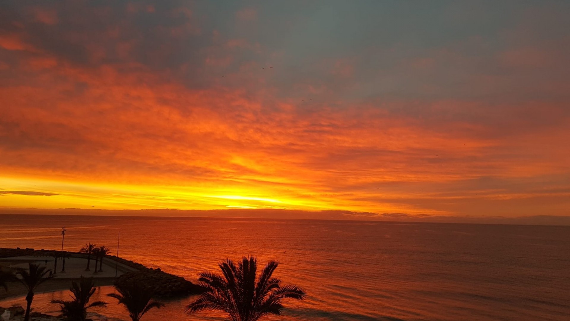 Resale - Wohnung Appartement -
Torrevieja - Playa del Cura