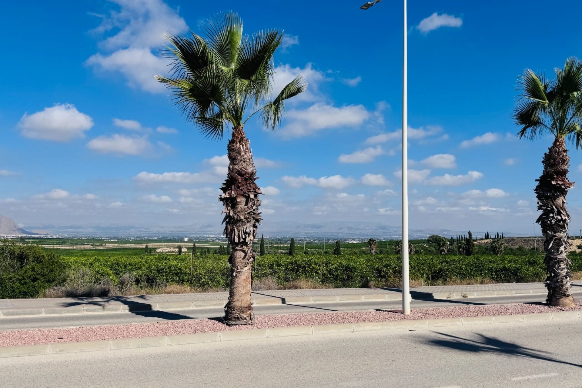 Revente - Appartement -
Algorfa