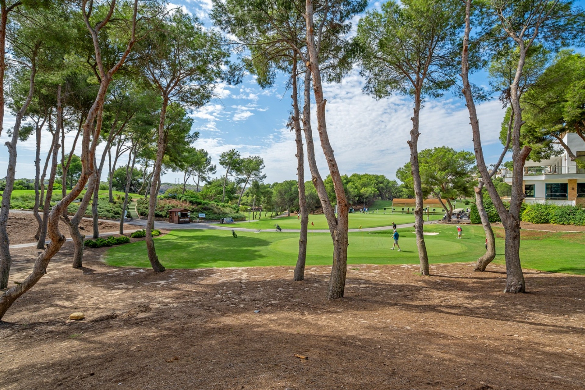 Revente - Appartement -
Dehesa de Campoamor - Campoamor