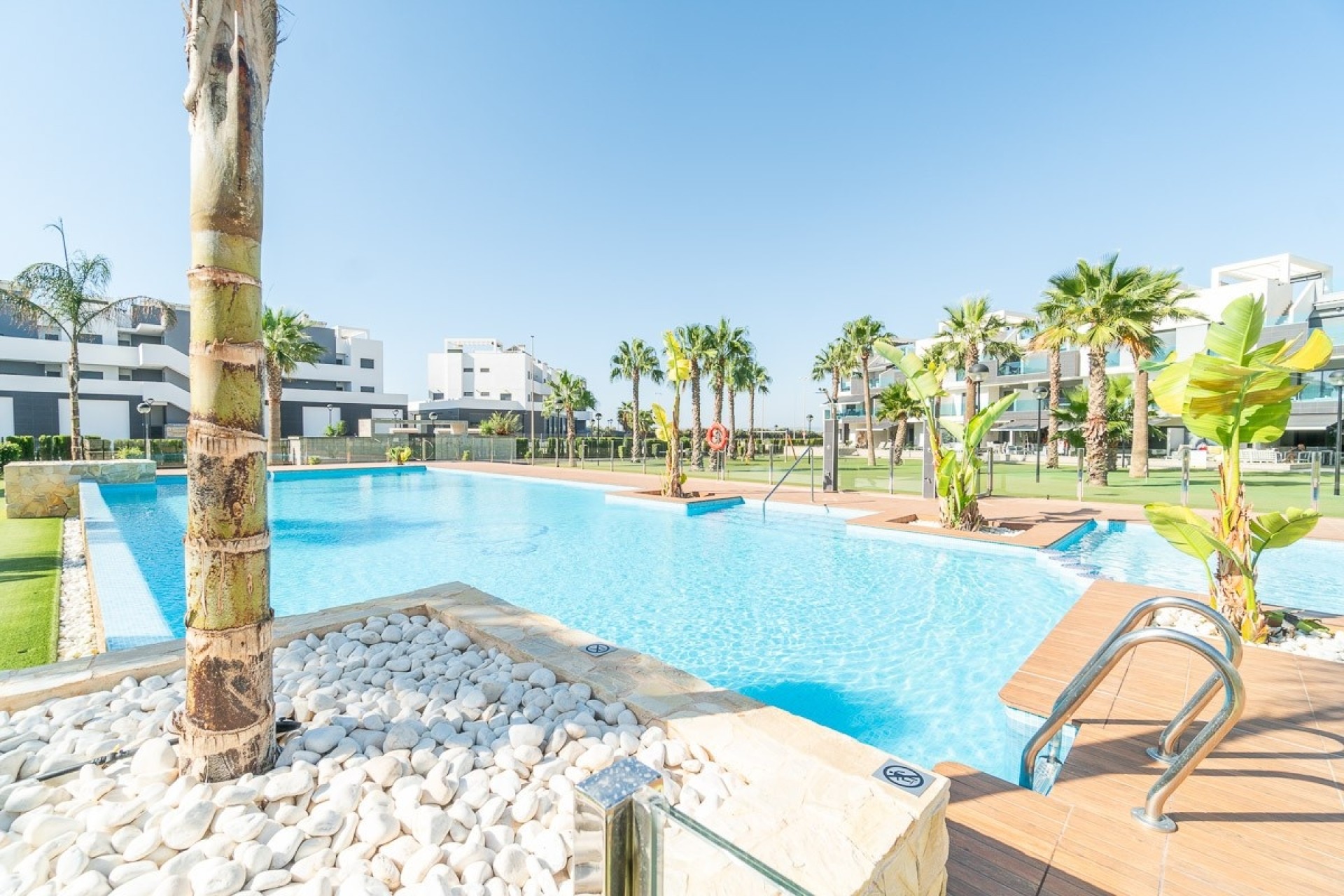 Revente - Appartement -
El Raso