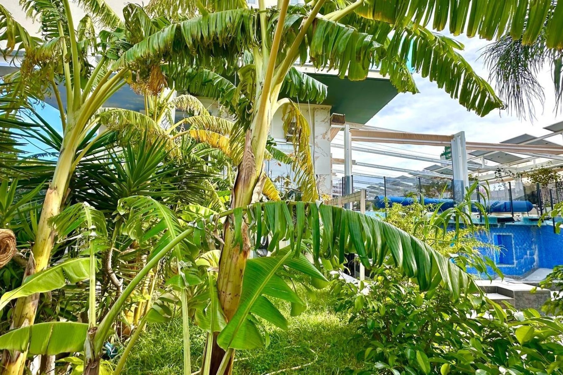 Revente - Appartement -
Finestrat