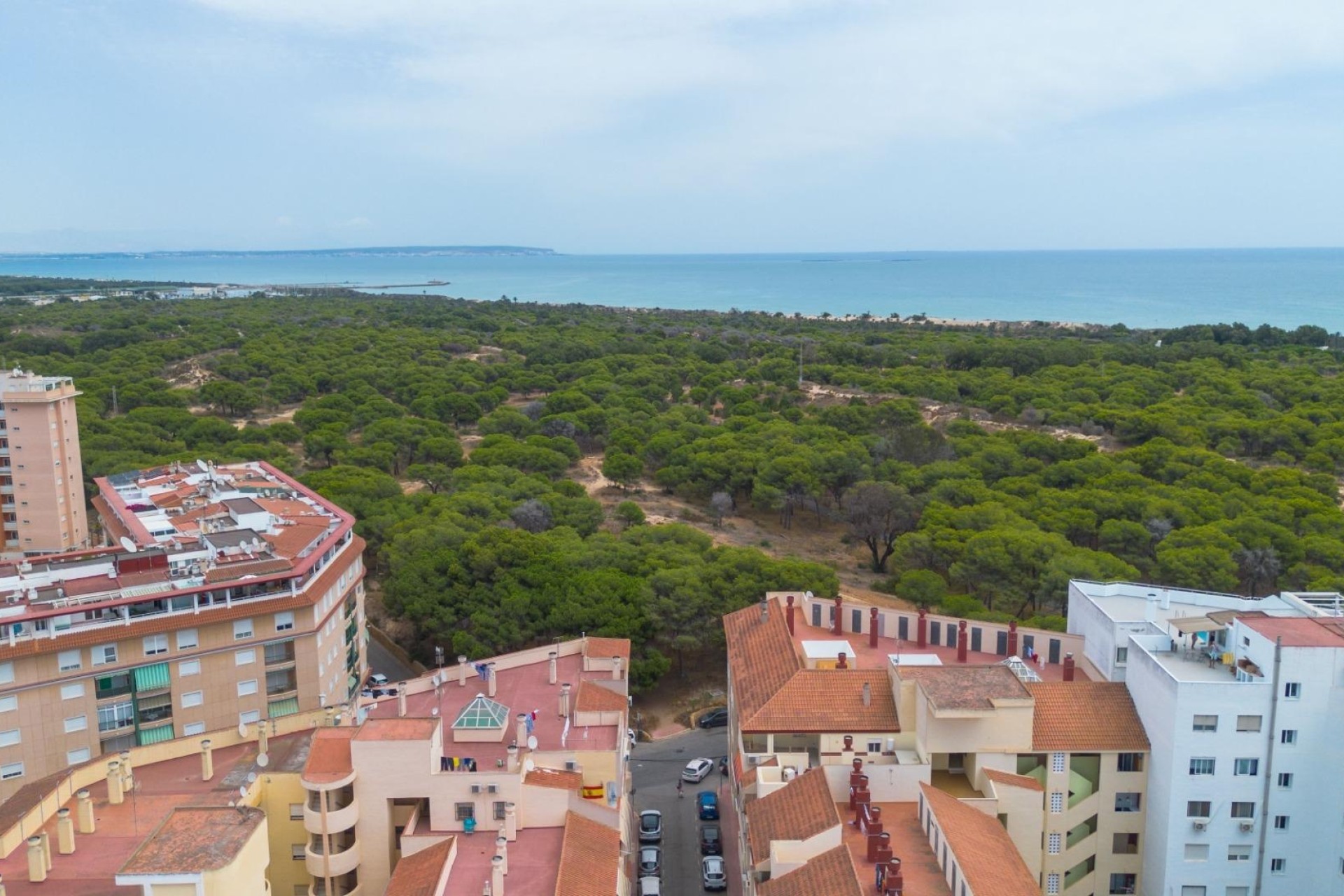 Revente - Appartement -
Guardamar del Segura - CENTRO