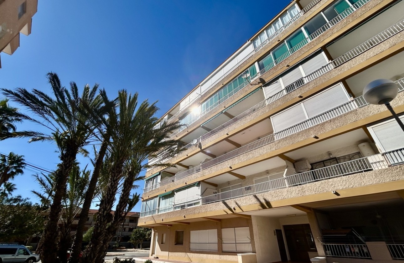 Revente - Appartement -
Guardamar del Segura - Costa Blanca