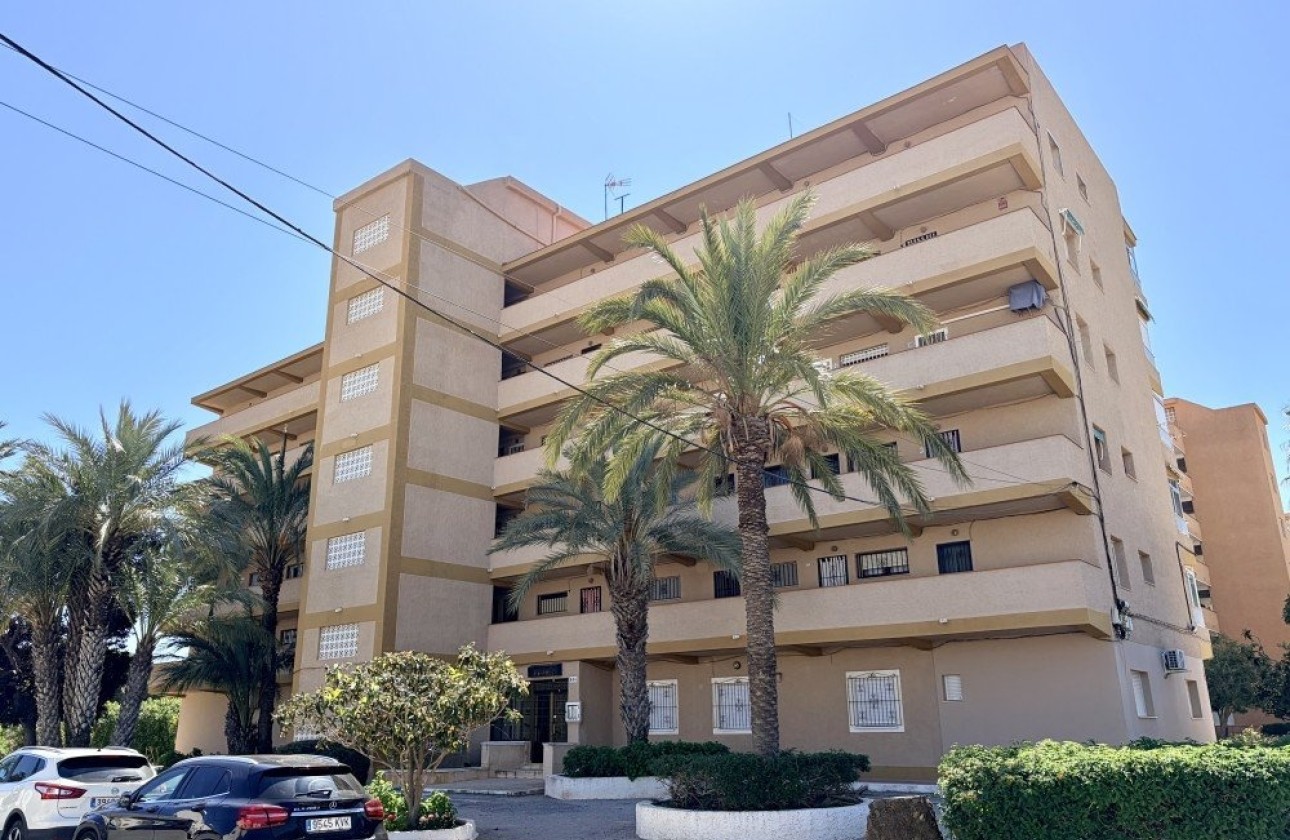 Revente - Appartement -
Guardamar del Segura - Costa Blanca