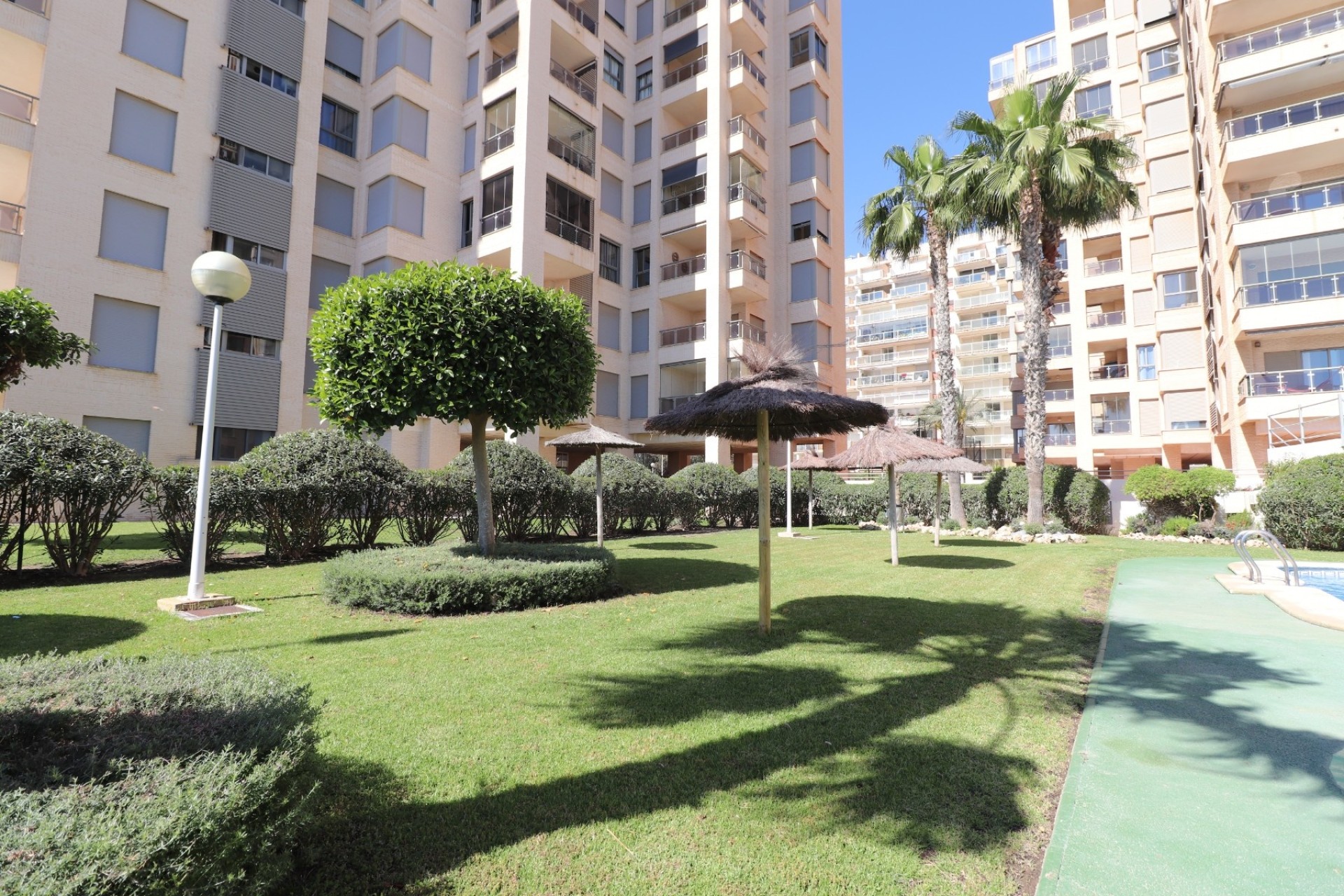 Revente - Appartement -
Guardamar del Segura - Guardamar del Segura - Town