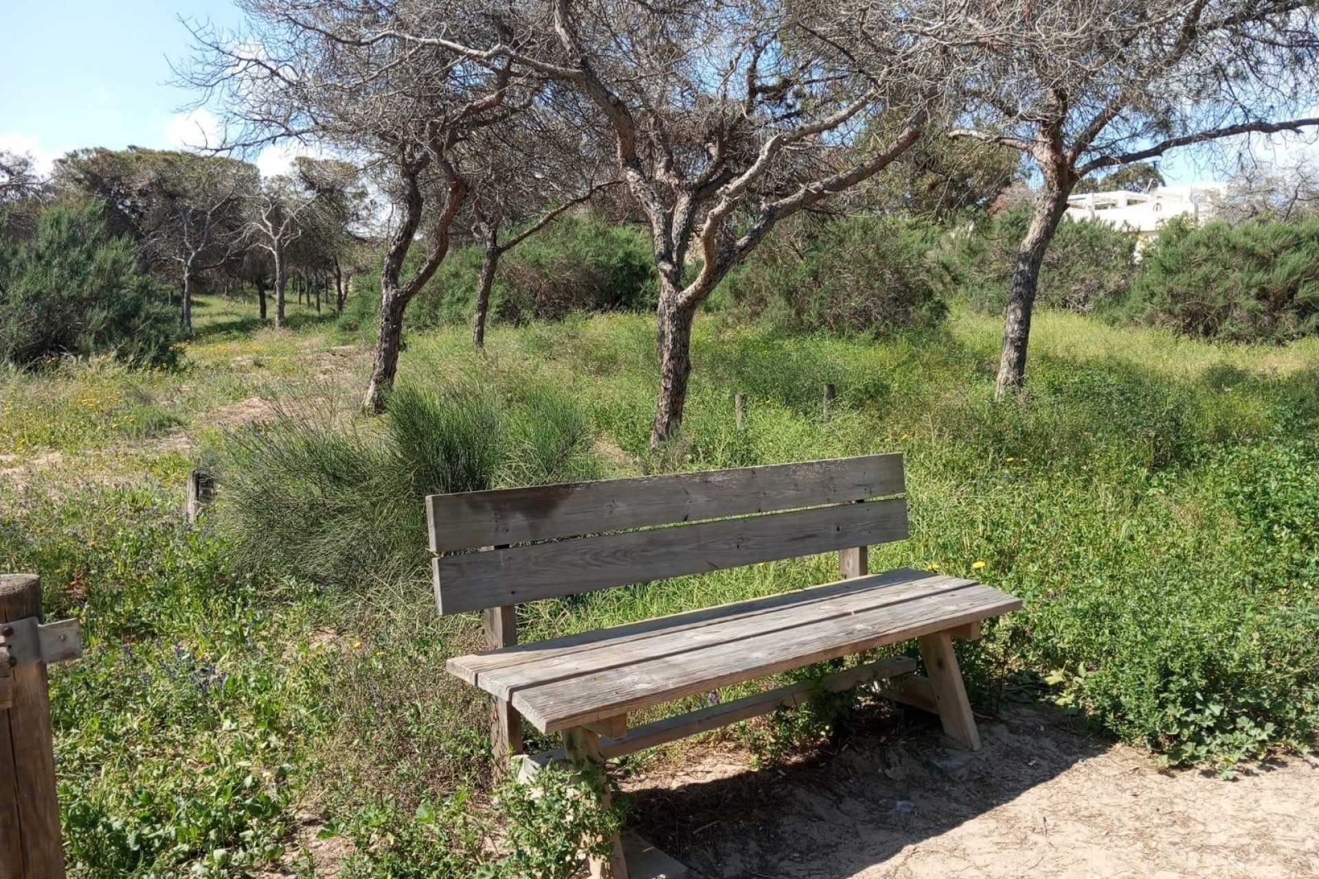 Revente - Appartement -
Guardamar del Segura - Urbanizaciones