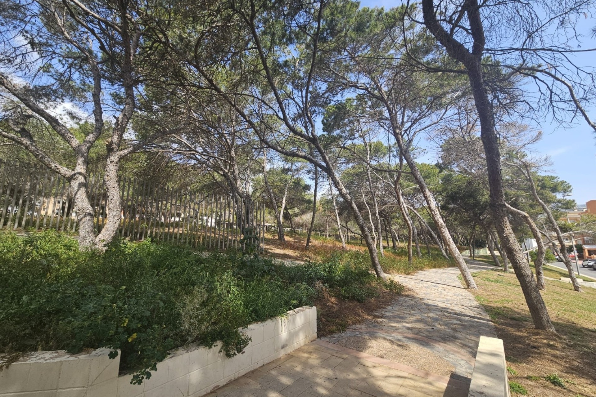 Revente - Appartement -
Guardamar del Segura