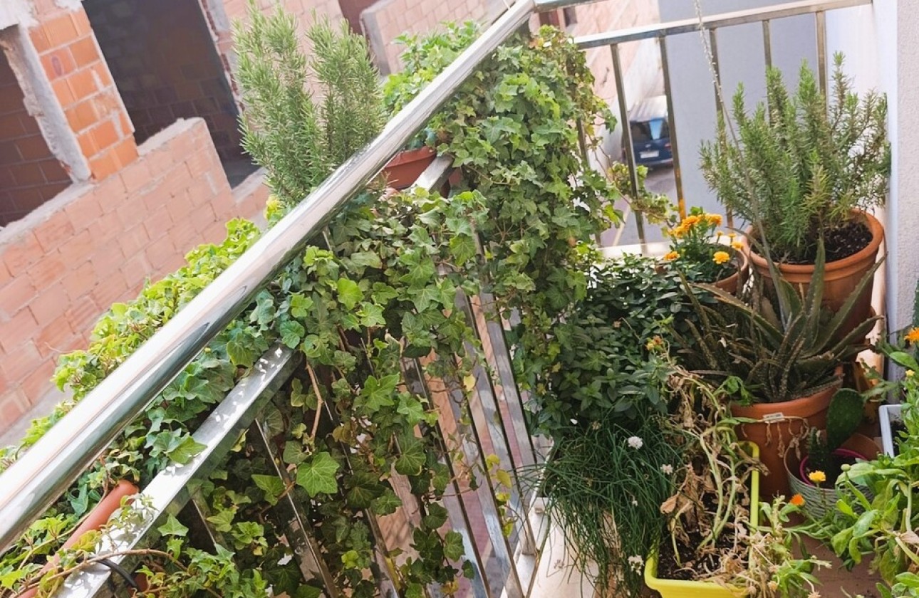 Revente - Appartement -
La Union - Inland