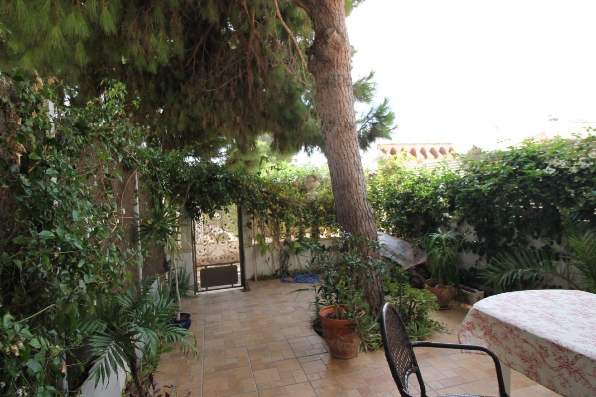 Revente - Appartement -
La Zenia - Costa Blanca