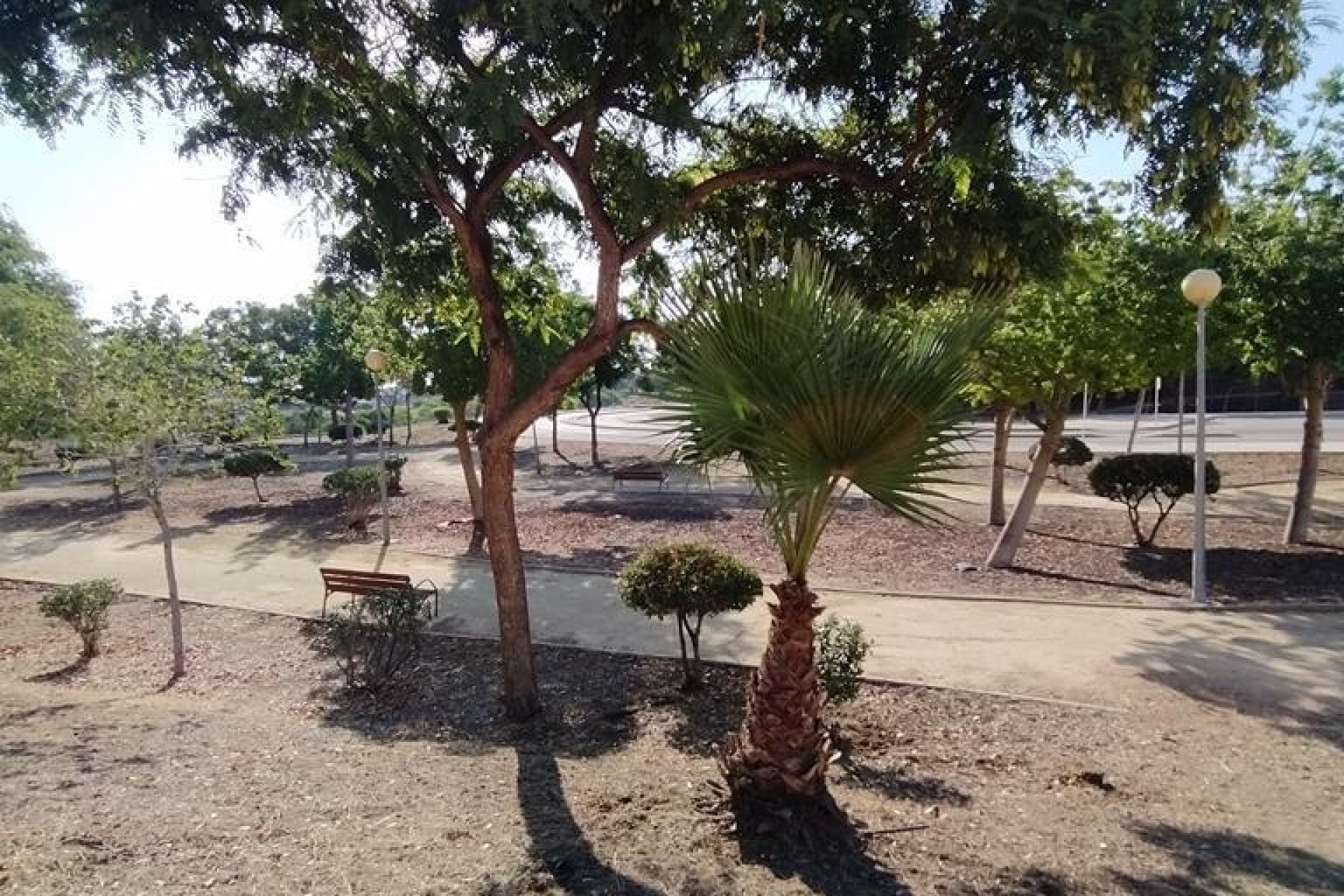 Revente - Appartement -
Orihuela Costa - LOMAS CABO ROIG