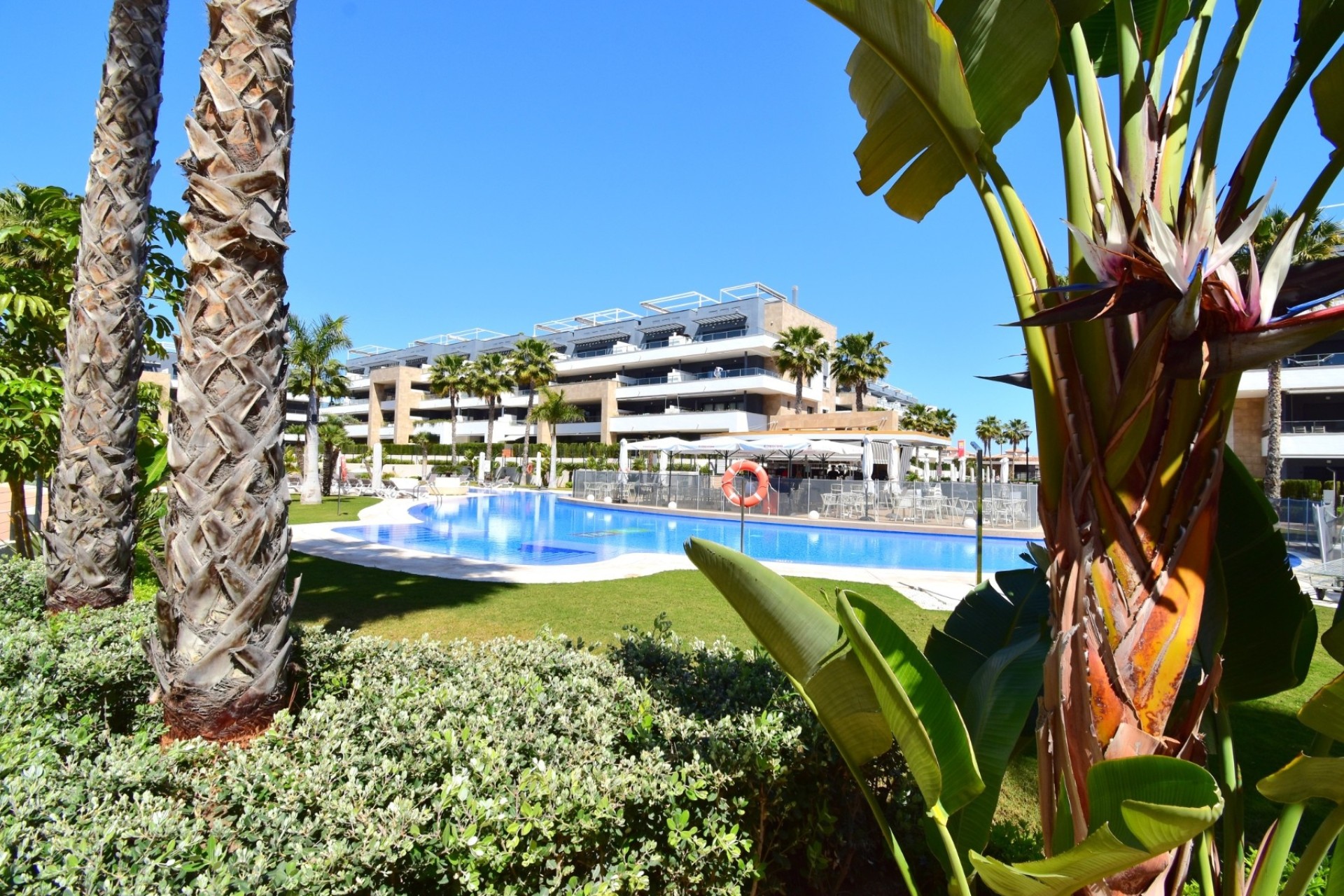 Revente - Appartement -
Orihuela Costa - Playa Flamenca