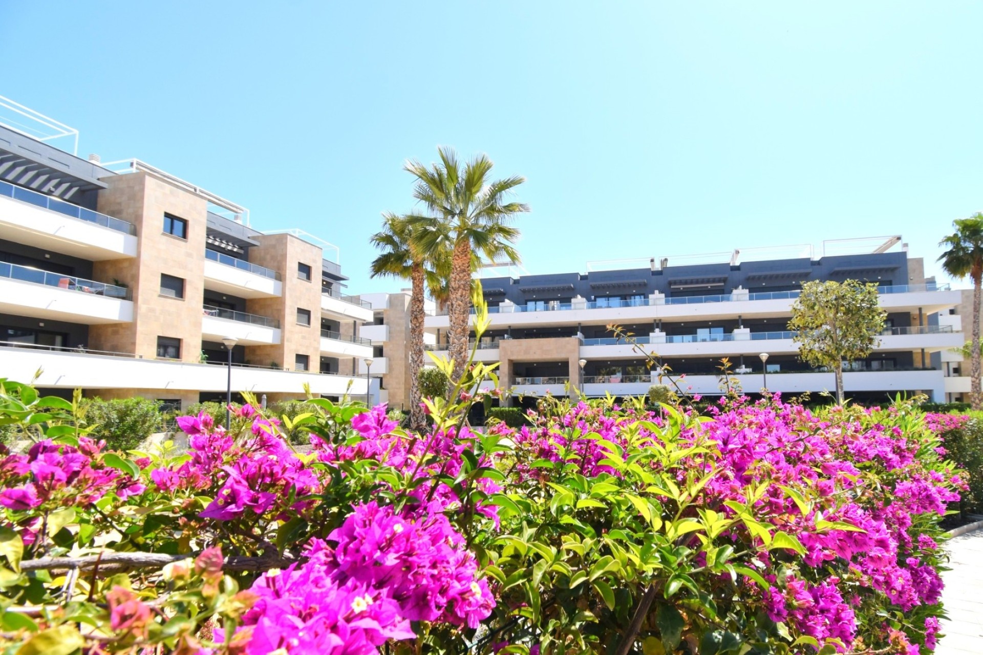 Revente - Appartement -
Orihuela Costa - Playa Flamenca